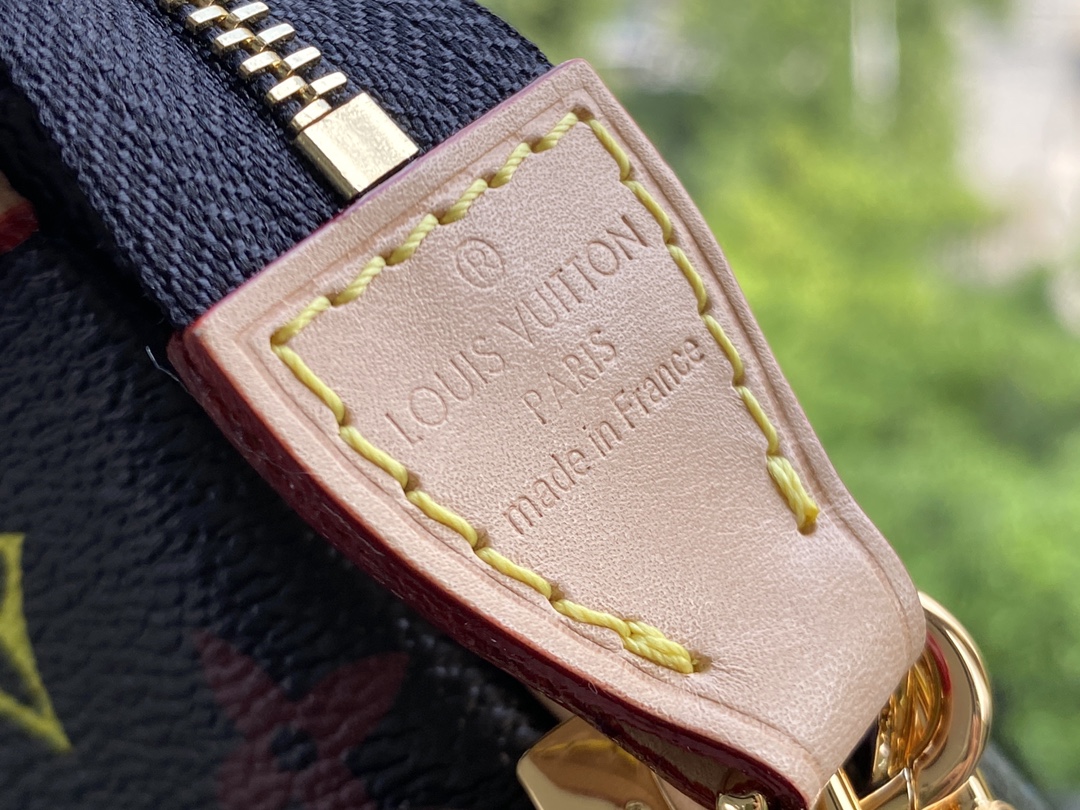 Louis Vuitton Pochette Accessories-21*13*3CM