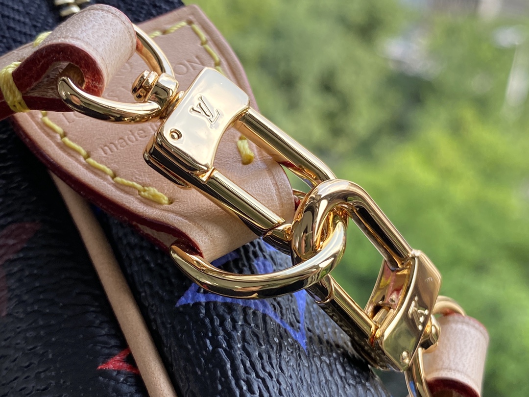 Louis Vuitton Pochette Accessories-21*13*3CM