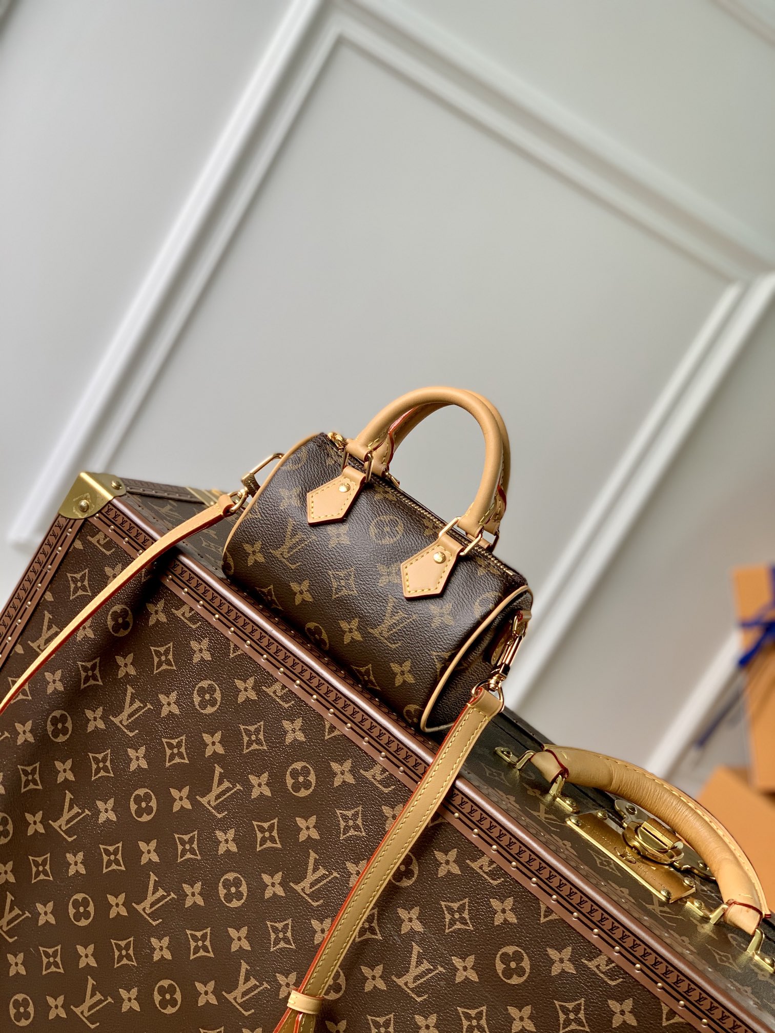 Louis Vuitton Nano Speedy-16CM