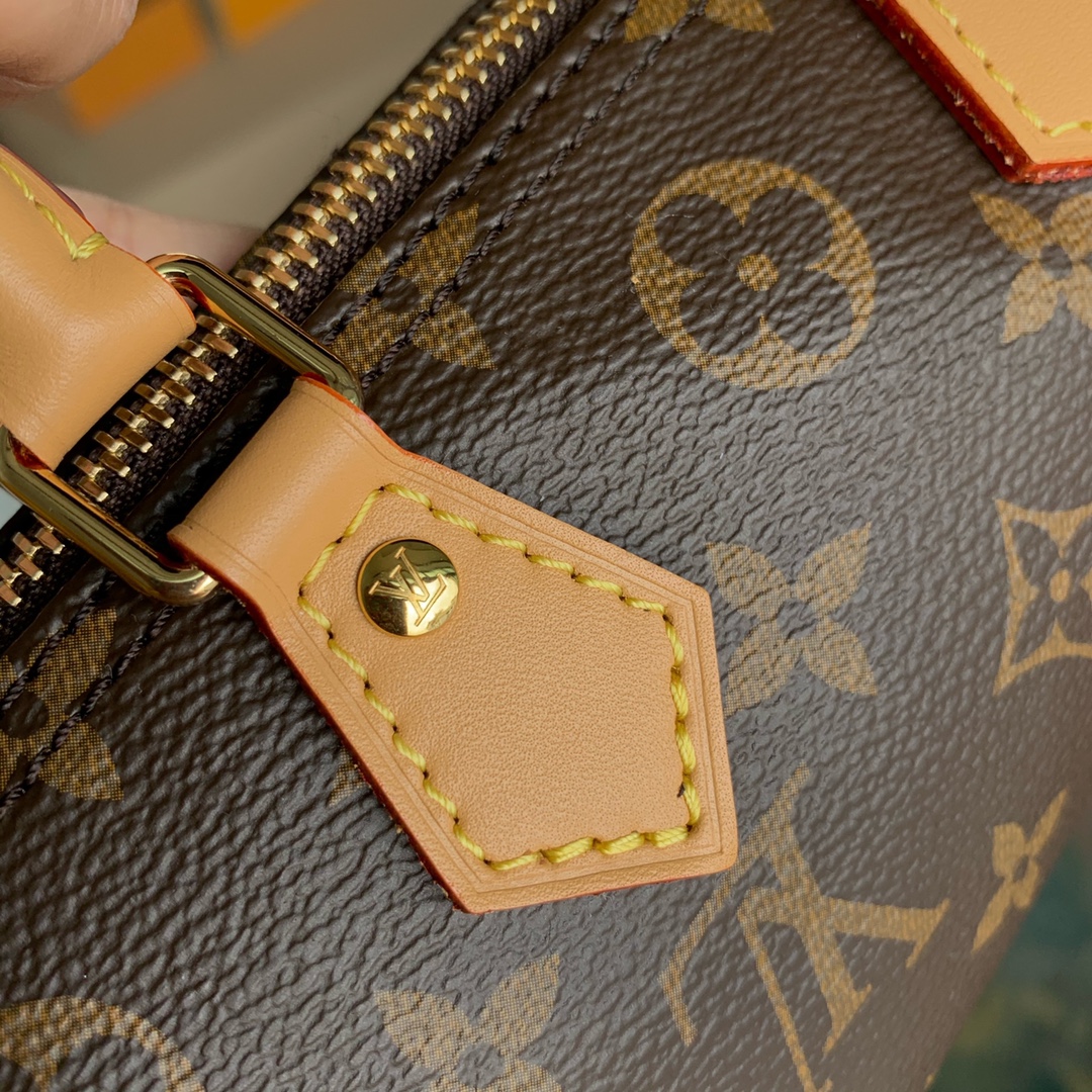 Louis Vuitton Nano Speedy-16CM