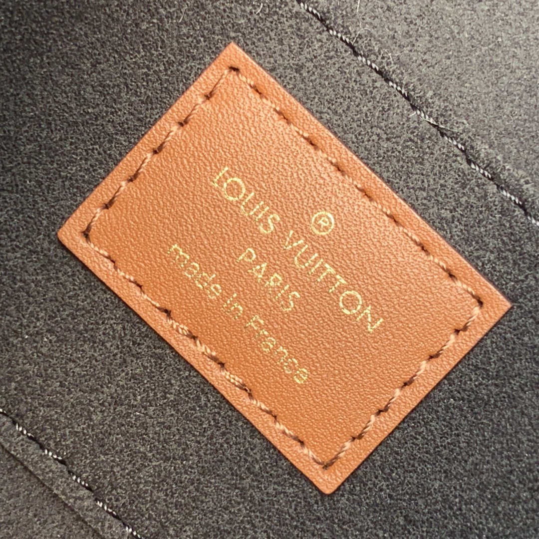 Louis Vuitton Mini Dauphine Bag-20*15*9CM Louis Vuitton Mini Dauphine Bag-20*15*9CM