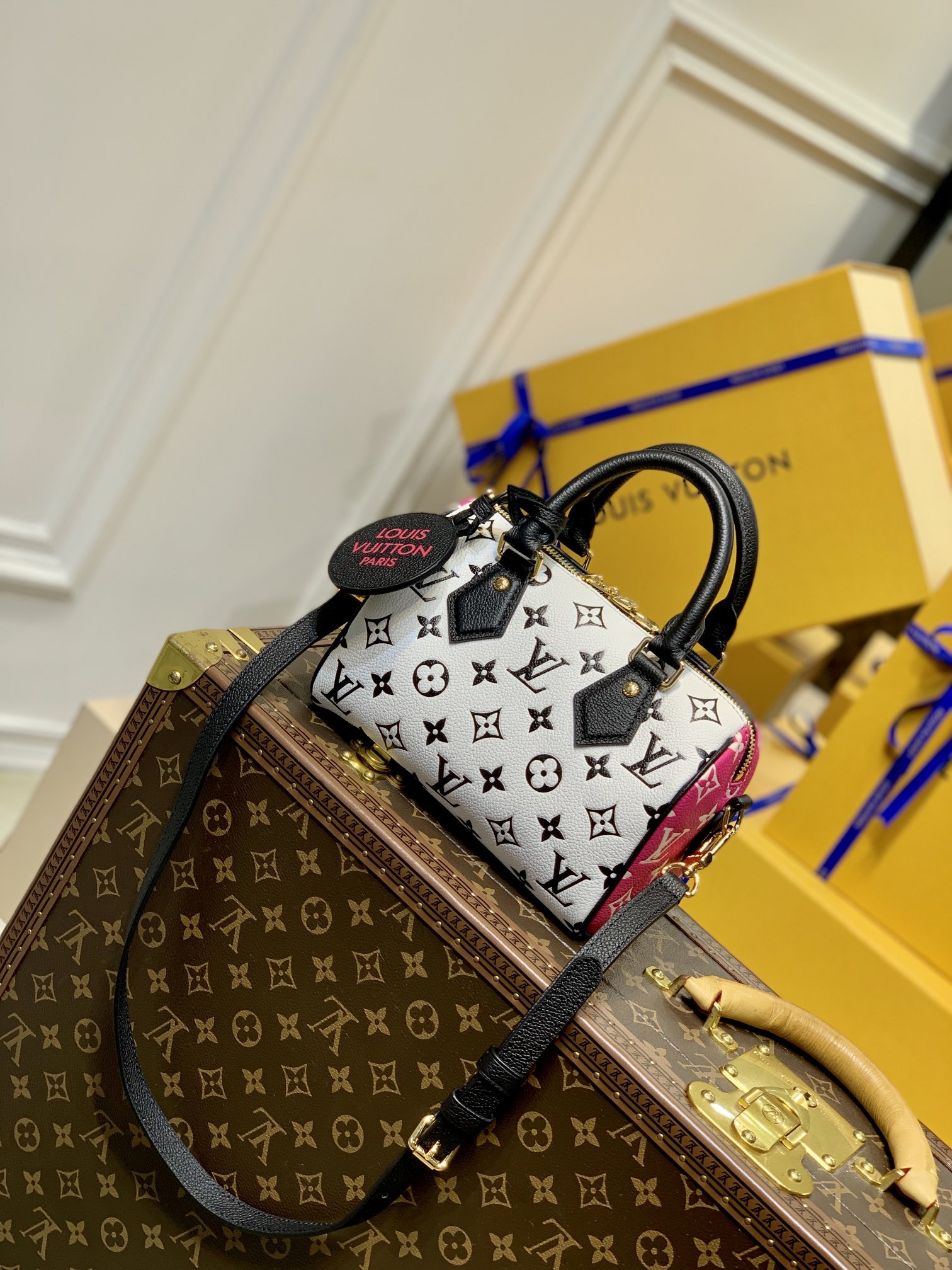 Louis Vuitton Speedy Bandoulière 20 -M46088-20*13.5*12CM