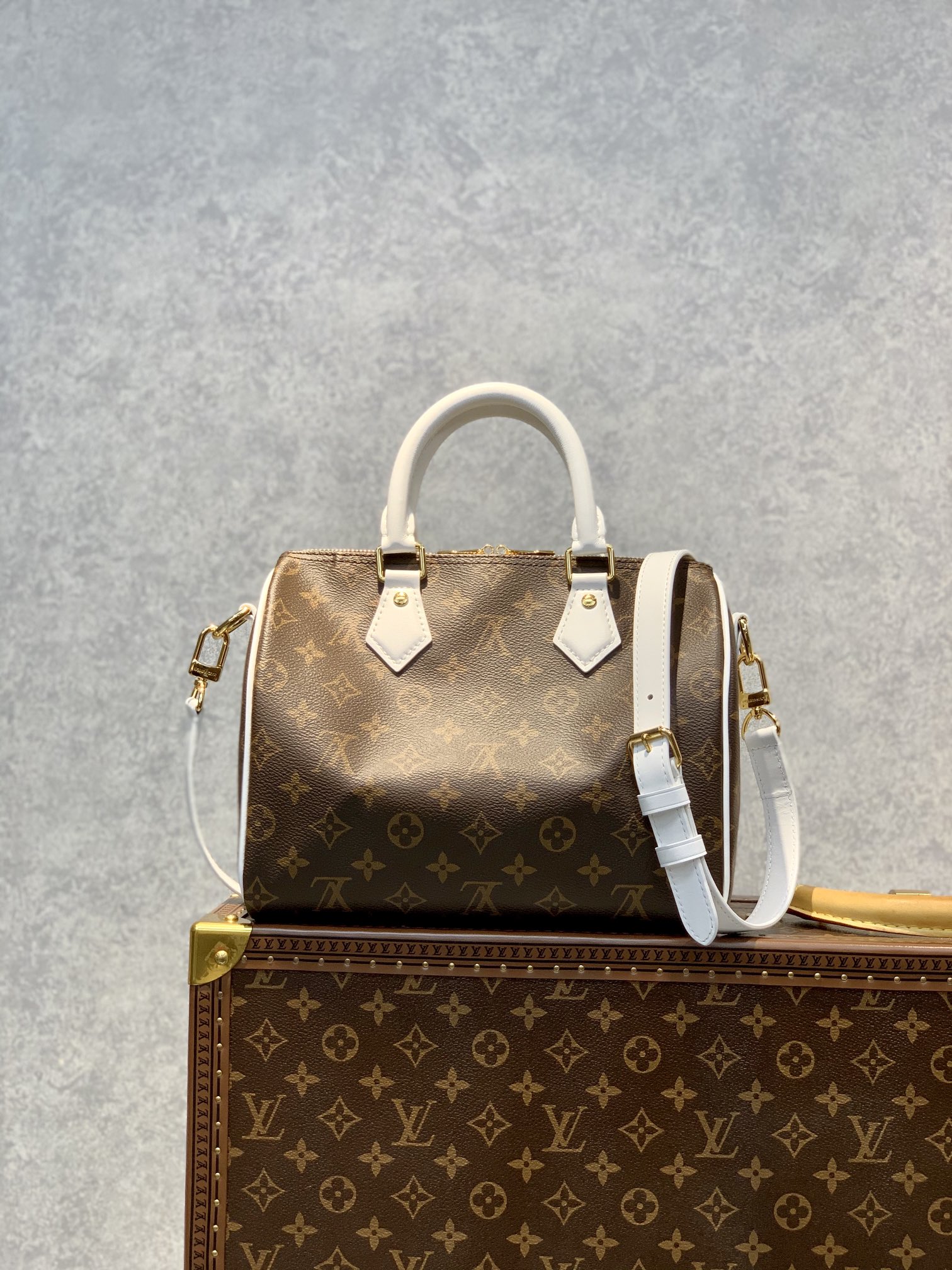 Louis Vuitton Speedy Bandoulière 25-25*19*15CM