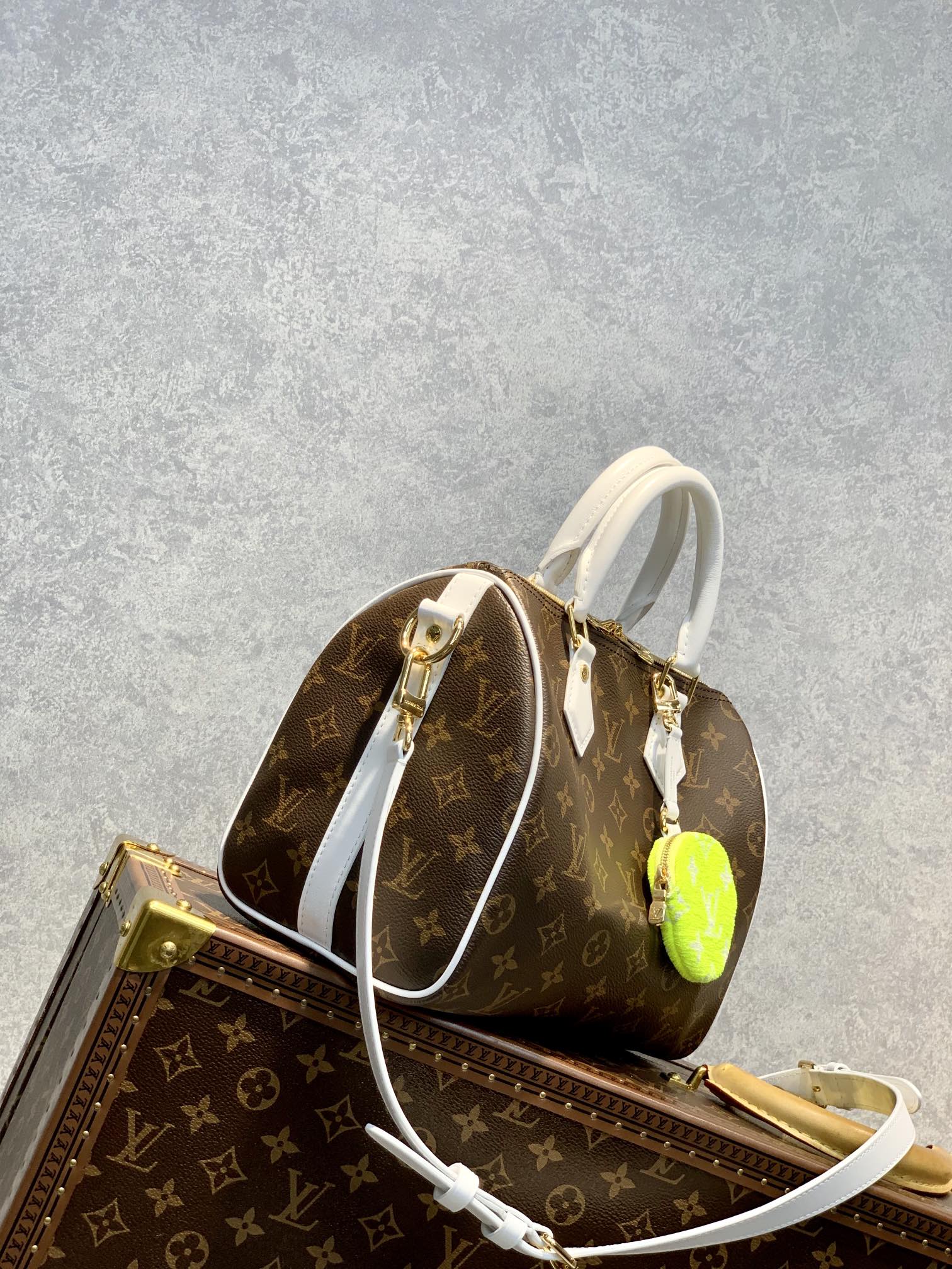Louis Vuitton Speedy Bandoulière 25-25*19*15CM