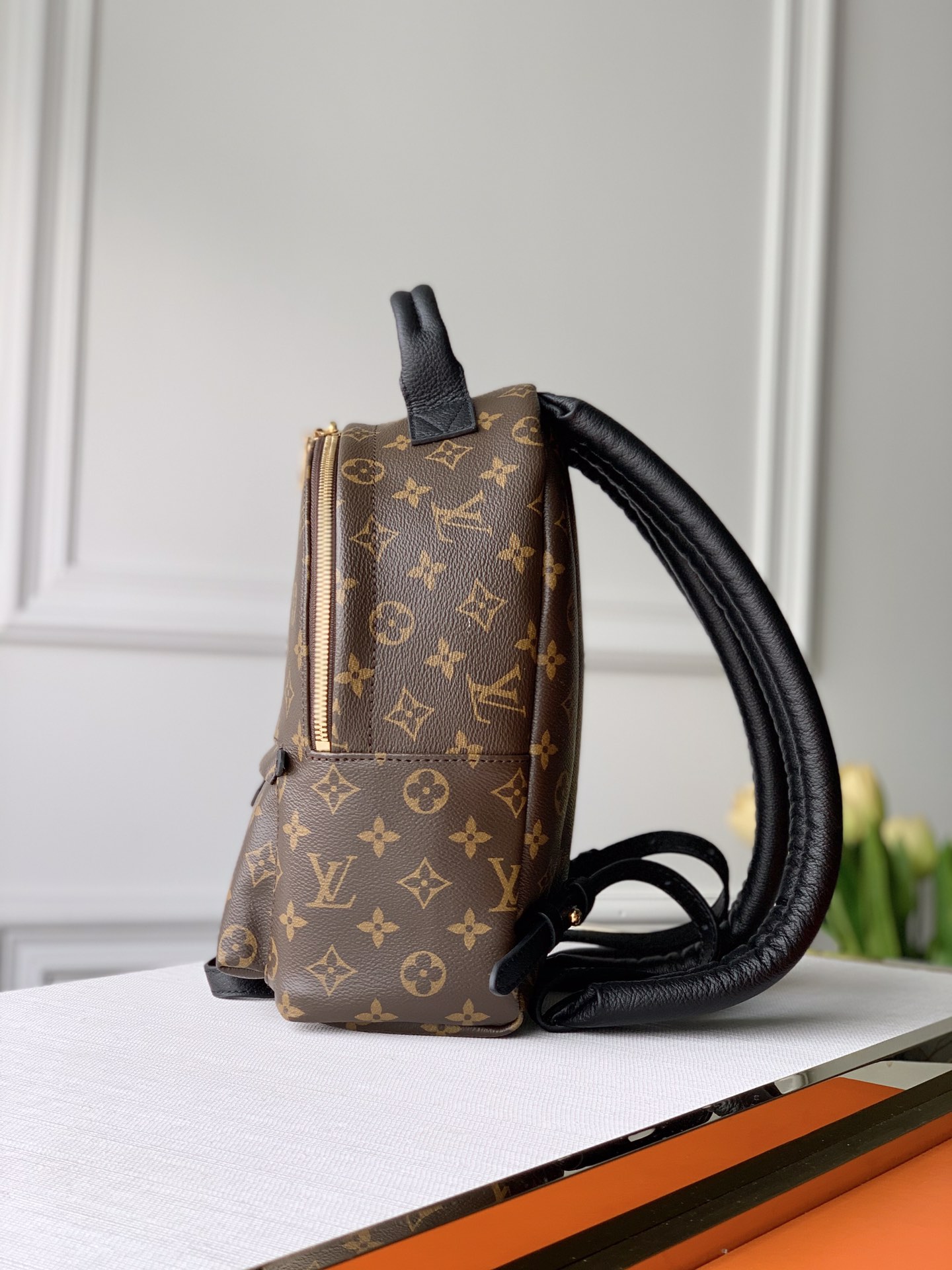 Louis Vuitton Backpack-M44871-22*19*10CM