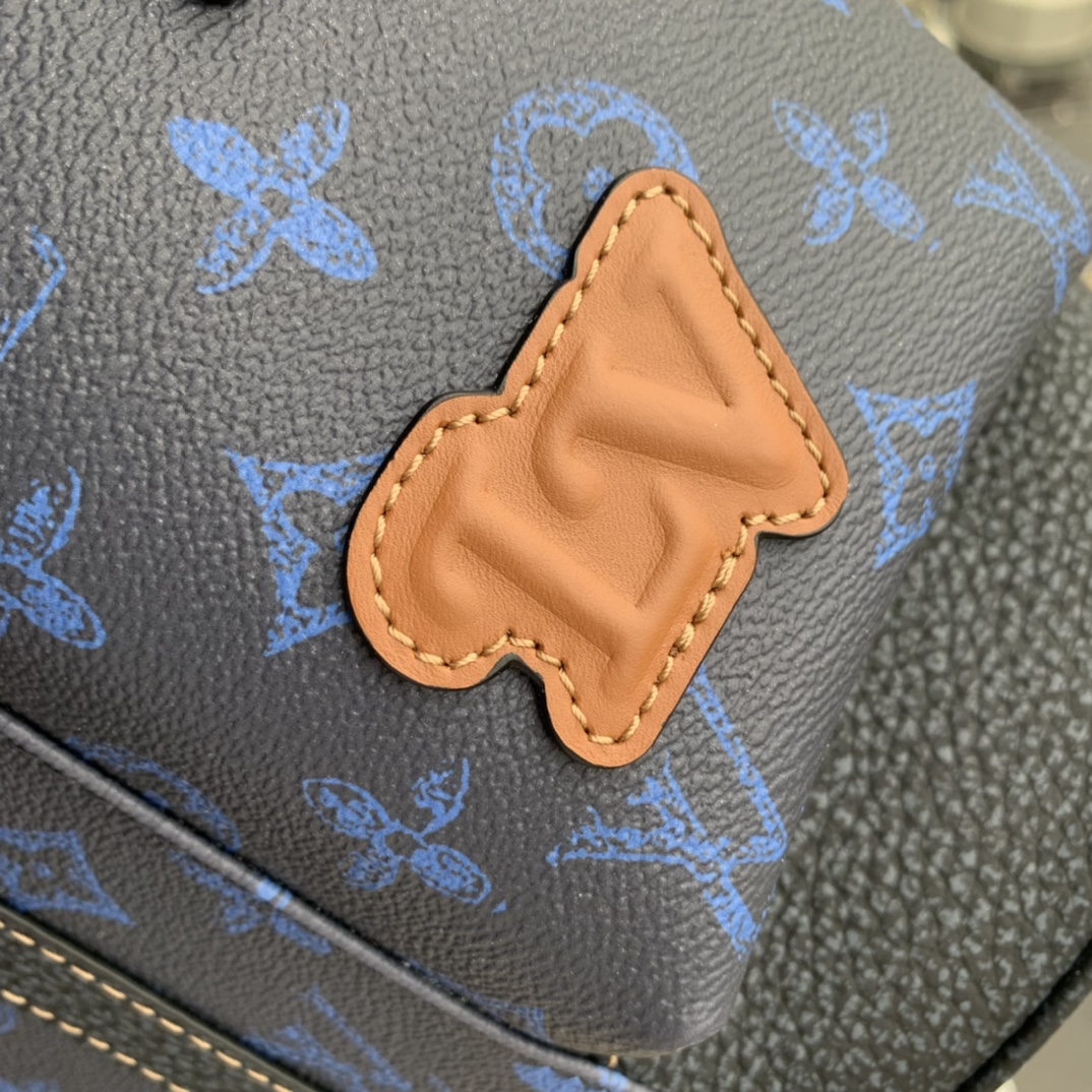 Louis Vuitton Christopher Backpack M59662-38*44*21CM