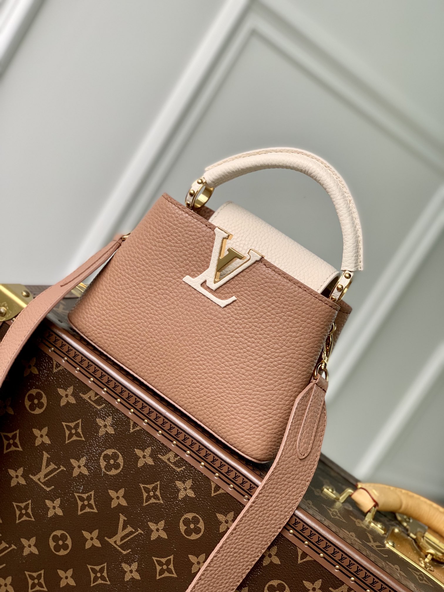 Louis Vuitton Mini Capucines Handlebag-21*14*8CM