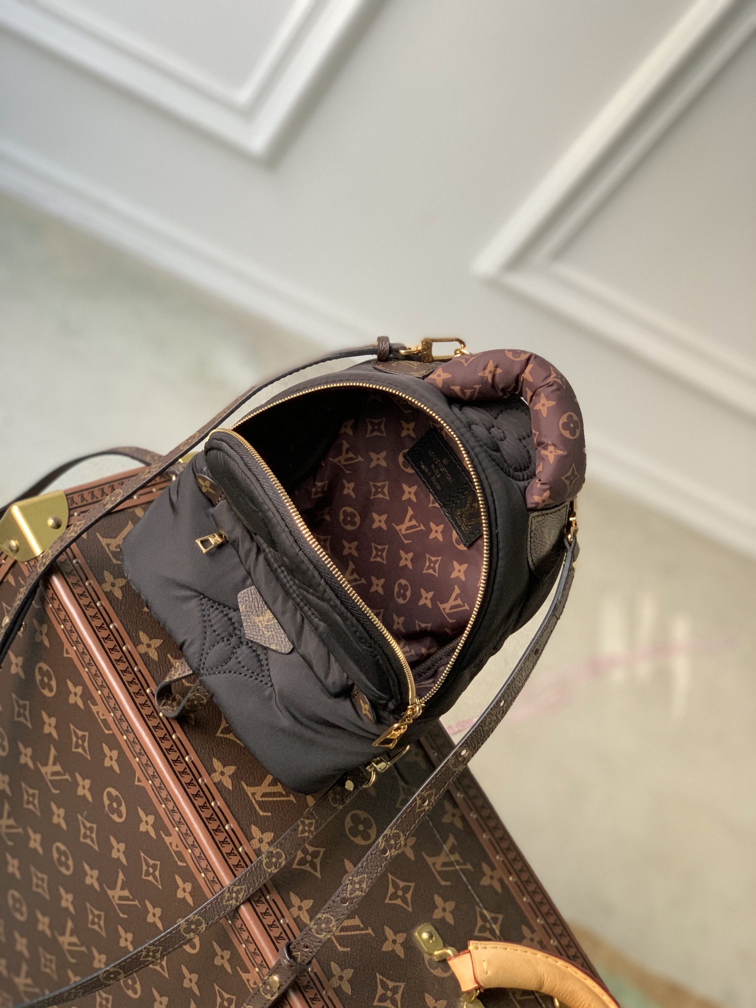 Louis Vuitton Pillow Palm Springs Backpack-17 x 22 x 10CM