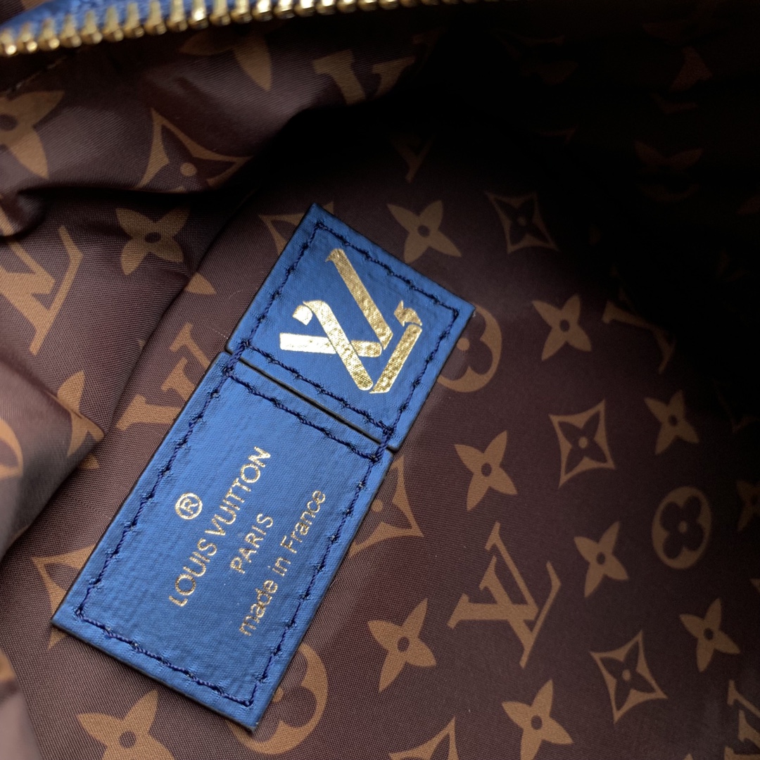 Louis Vuitton Pillow Palm Springs Backpack-17 x 22 x 10CM