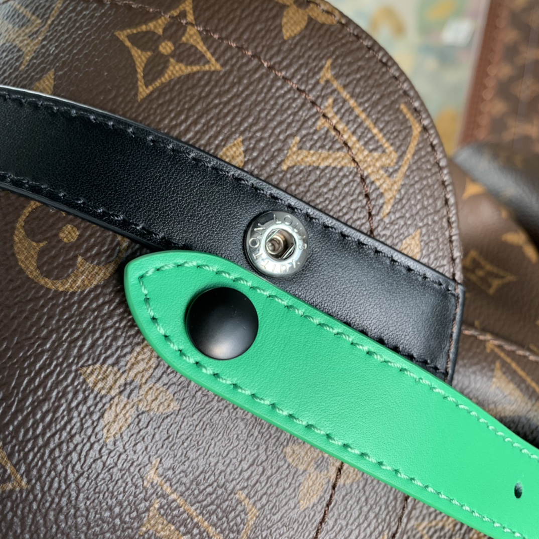 Louis Vuitton Christopher Backpack M46247-32*39*12CM