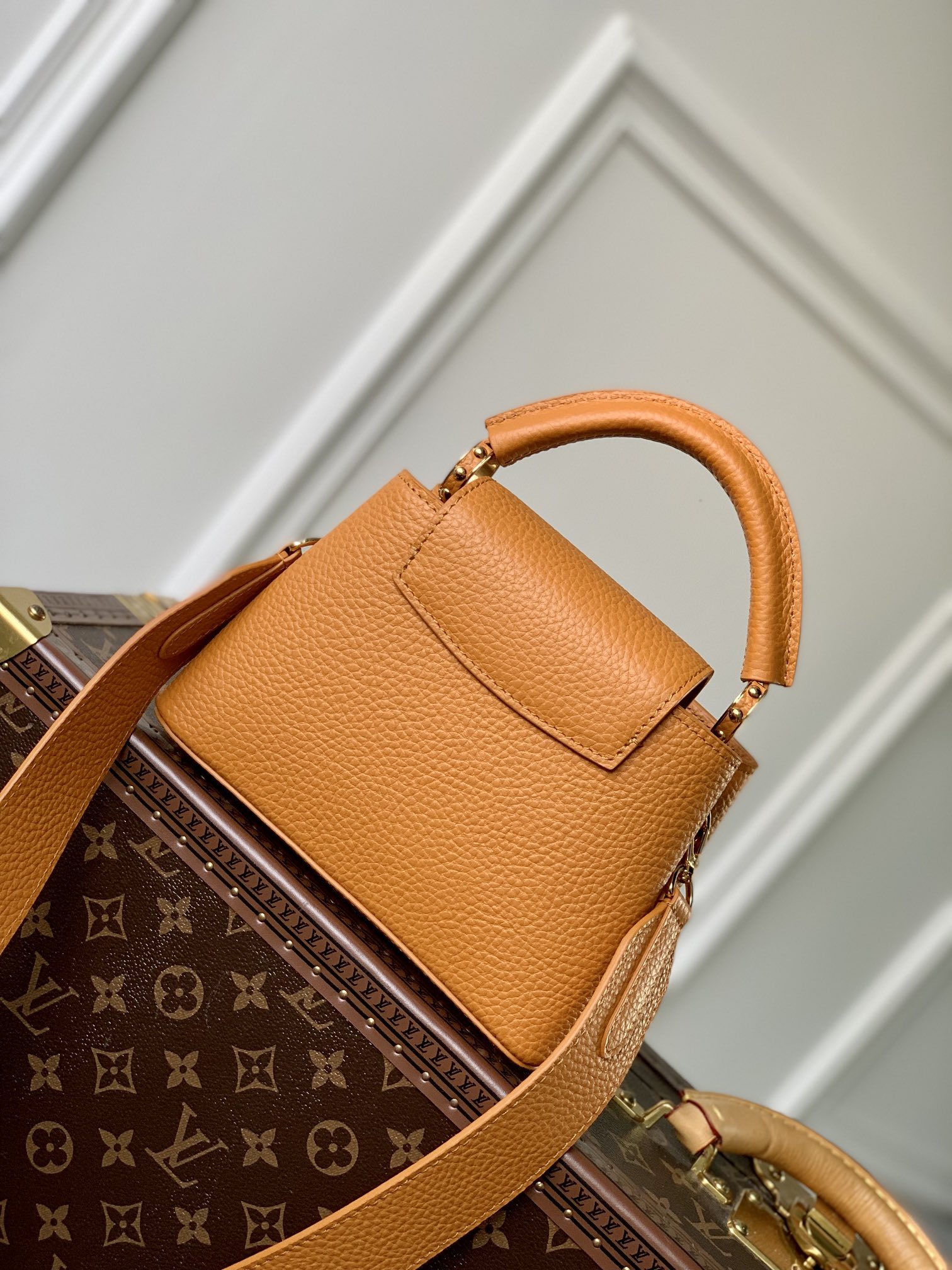 Louis Vuitton Mini Capucines Handlebag-M21168-21*14*8CM