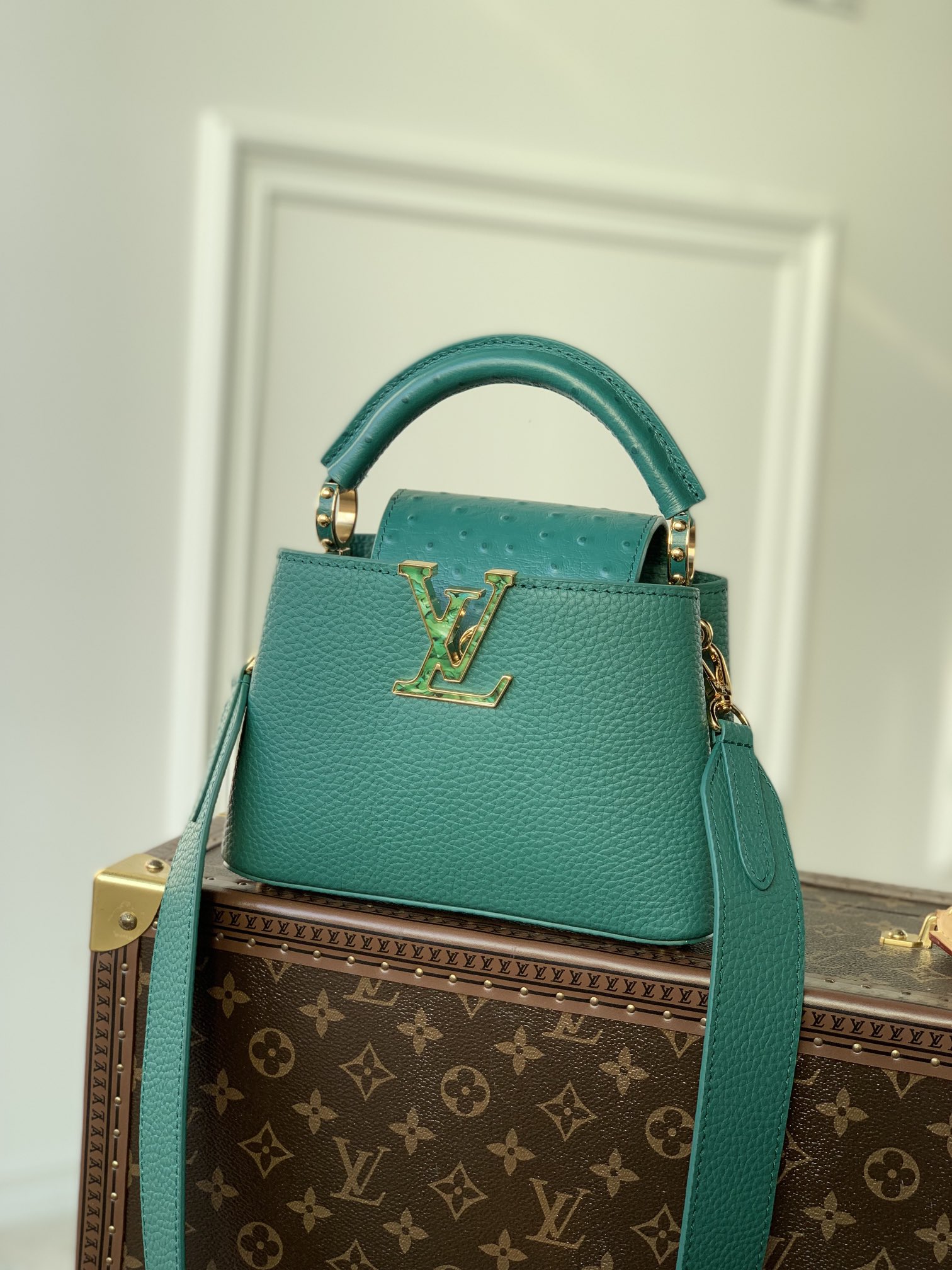 Louis Vuitton Mini Capucines Handlebag-M21168-21*14*8CM