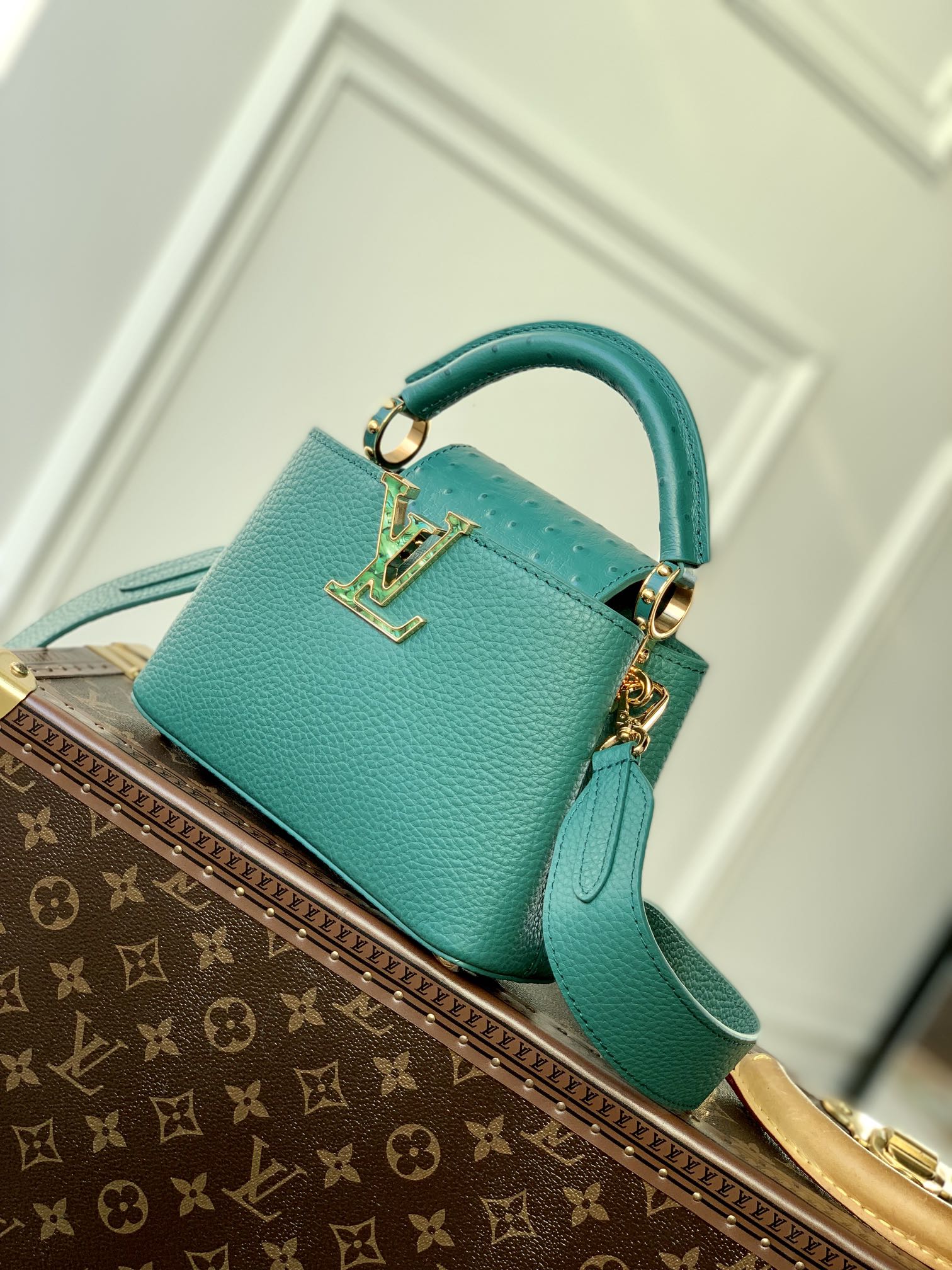 Louis Vuitton Mini Capucines Handlebag-M21168-21*14*8CM