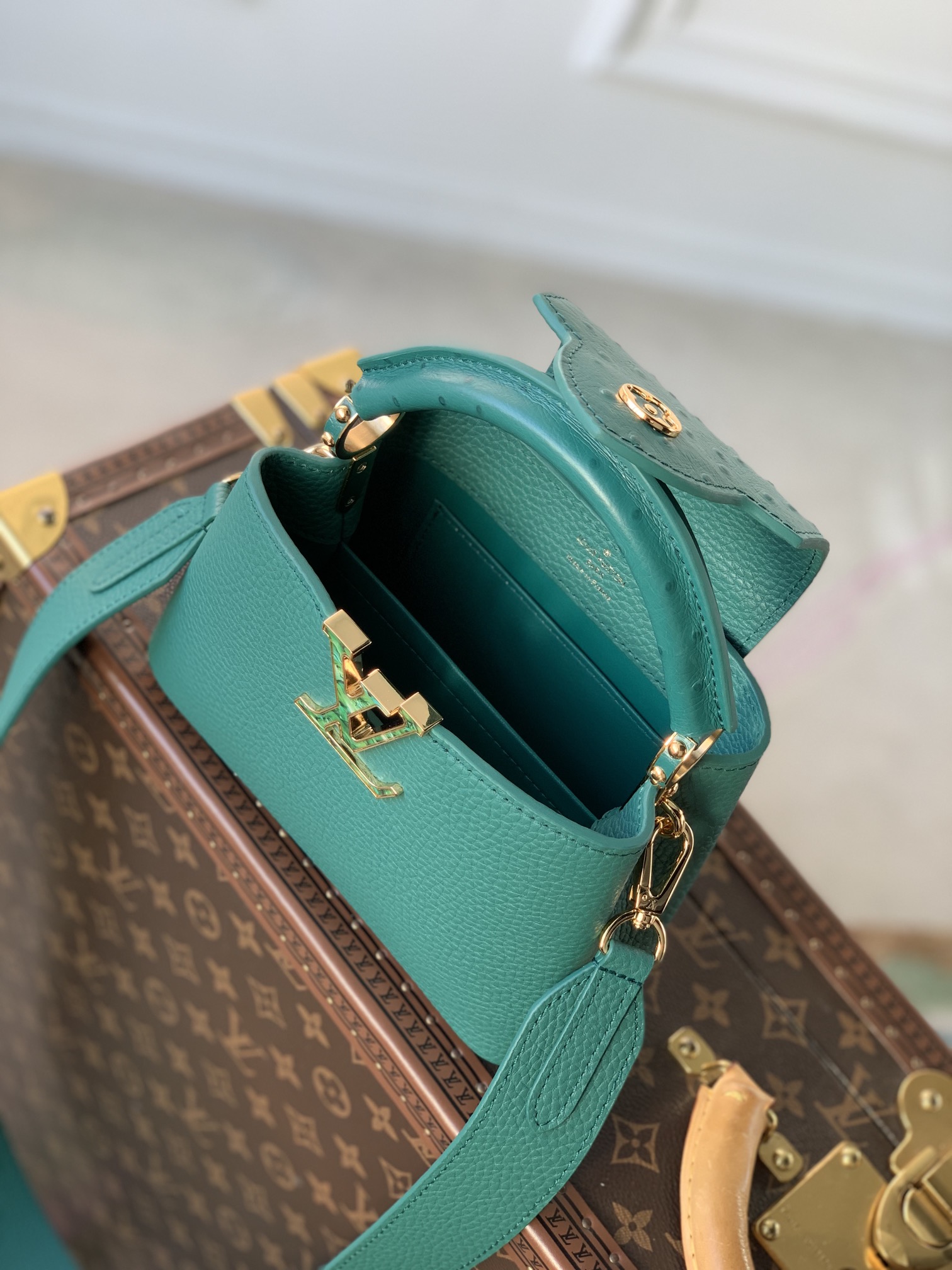 Louis Vuitton Mini Capucines Handlebag-M21168-21*14*8CM