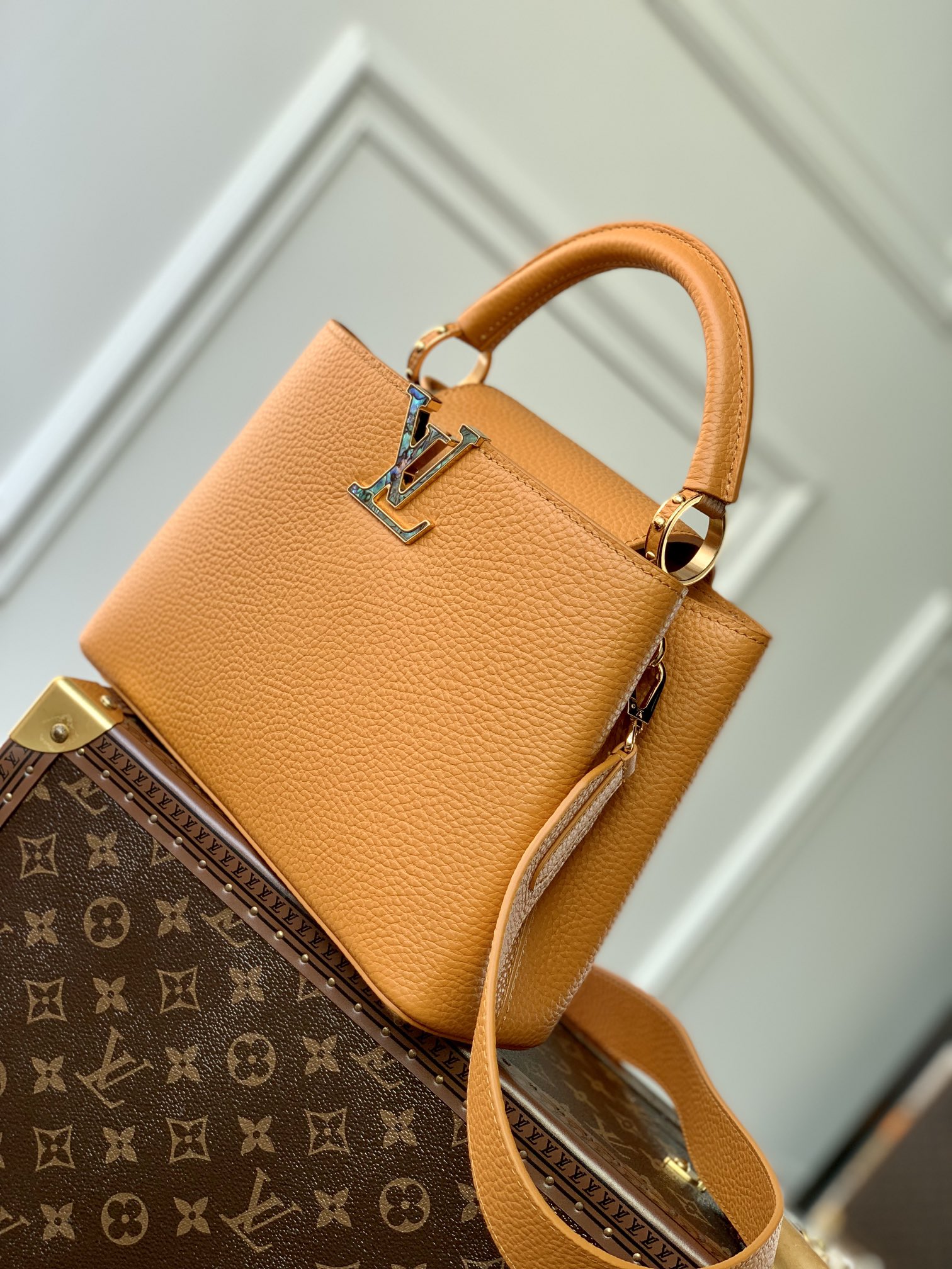 Louis Vuitton Capucines BB-M21164-27*18*9CM