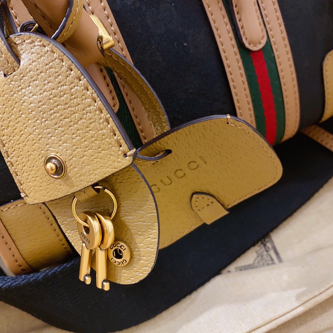 Gucci Ophidia Handbags-22*15*11CM