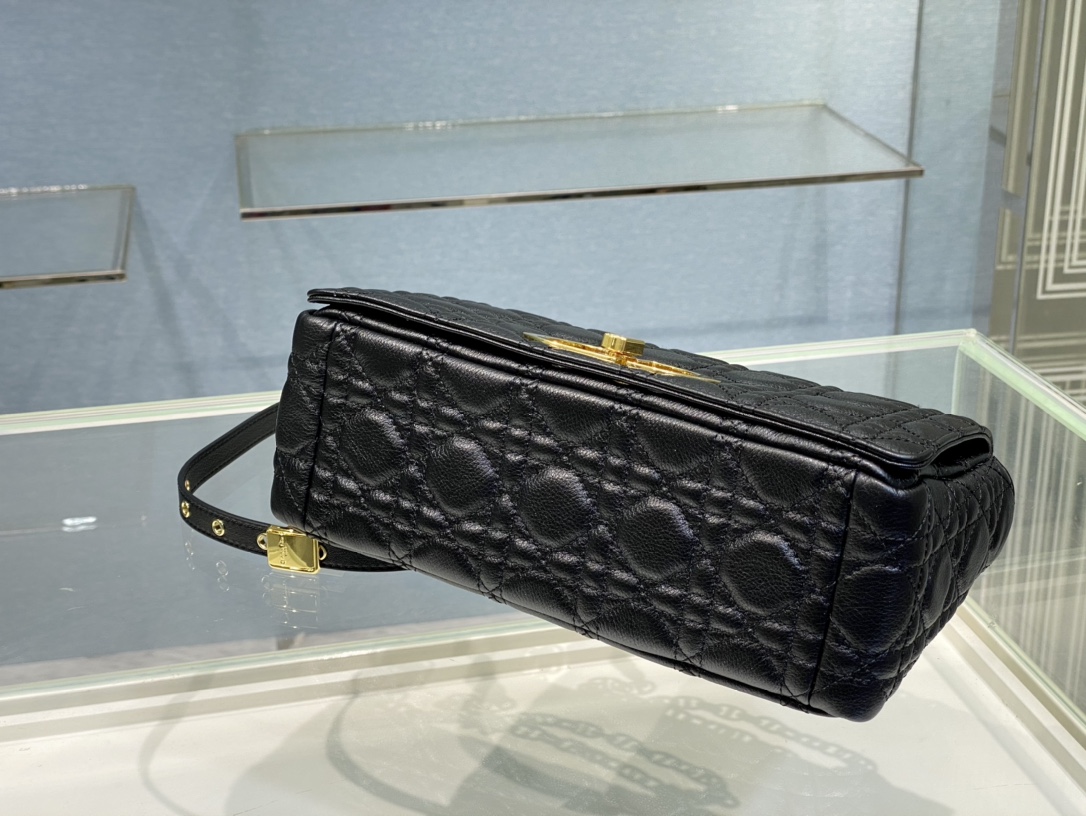 Diro 2022 Caro Bag-25CM