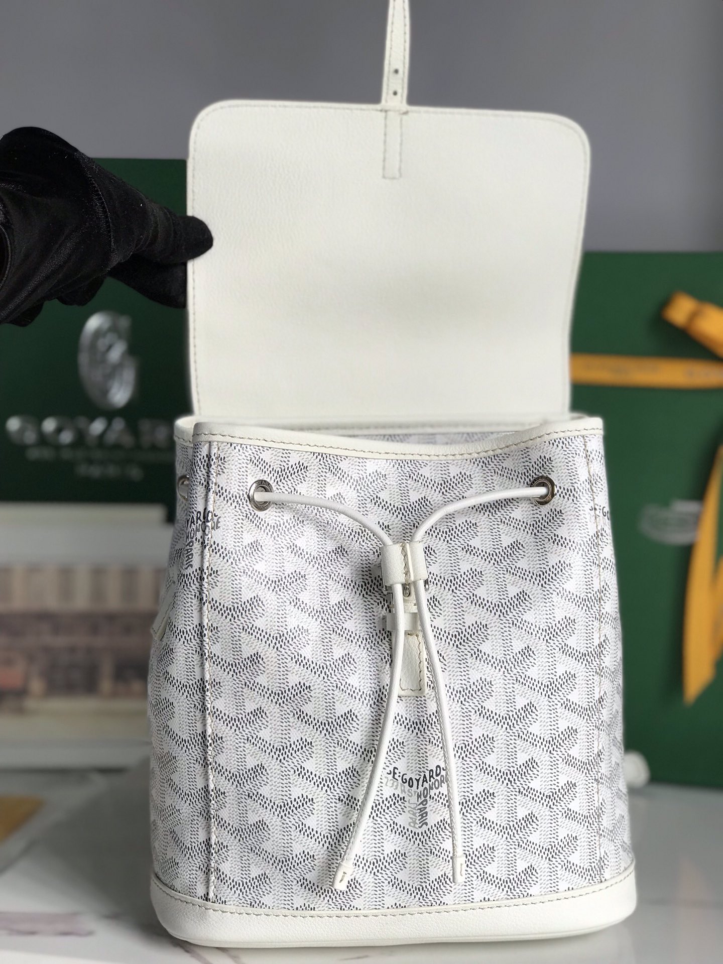 Goyard Alpin Backpack-18.5*21.5.*8.5CM