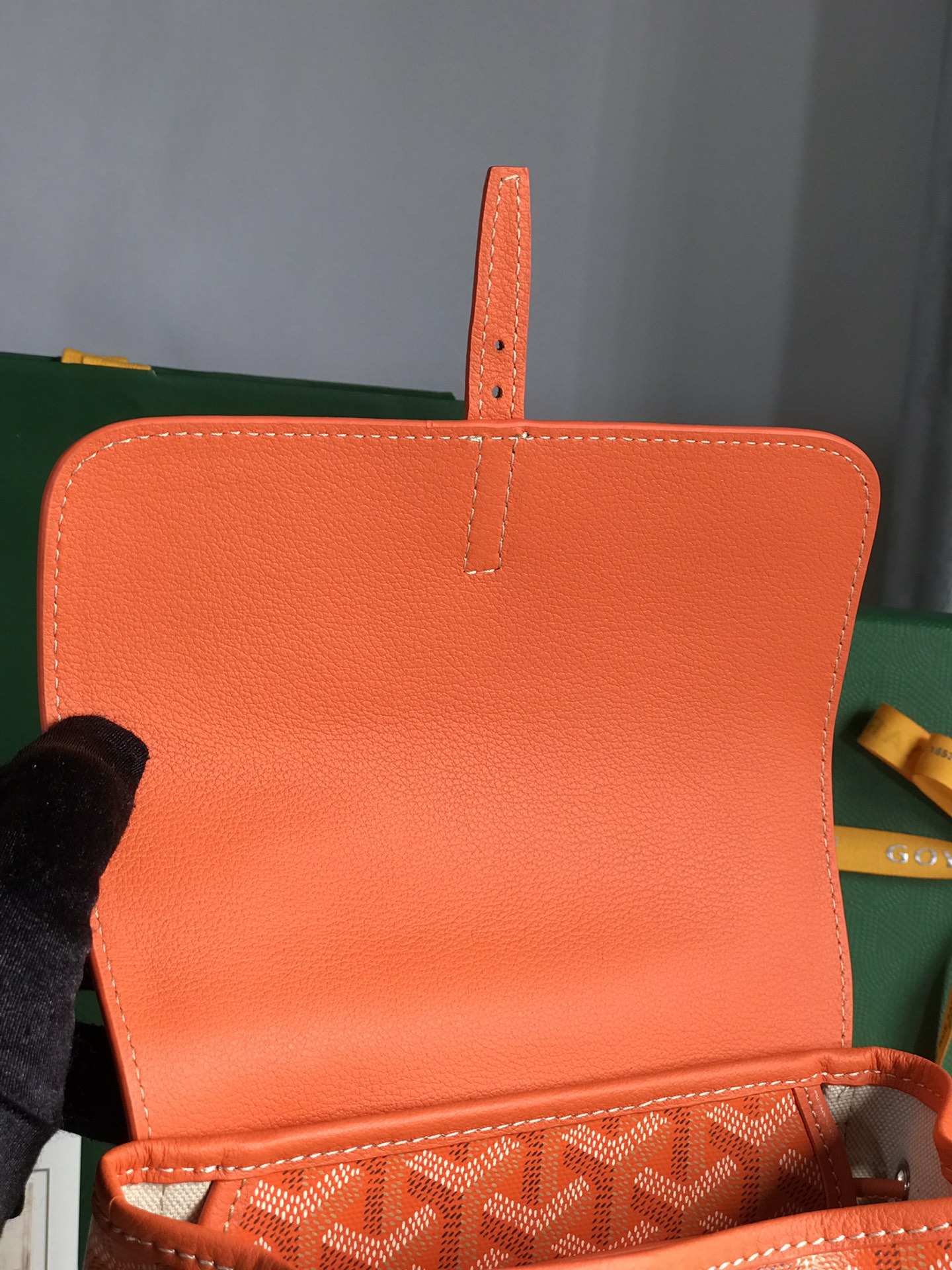 Goyard Alpin Backpack-18.5*21.5.*8.5CM