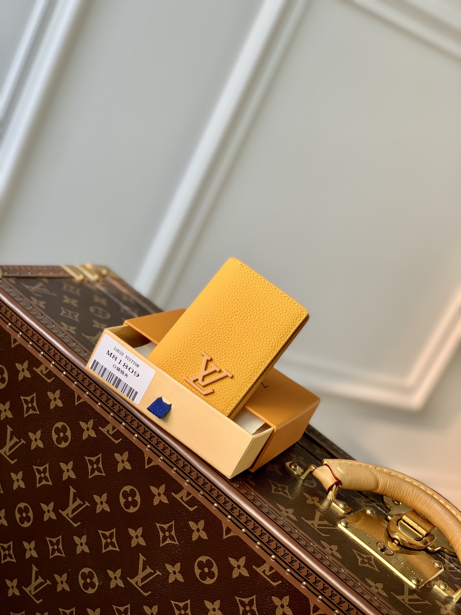 Louis Vuitton Aerogram Wallet-8 x 11 x 1CM