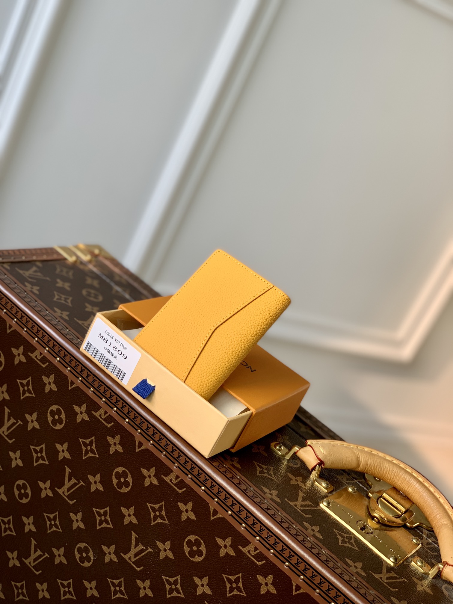 Louis Vuitton Aerogram Wallet-8 x 11 x 1CM