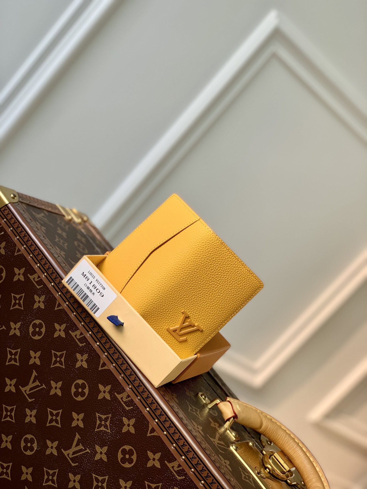 Louis Vuitton Aerogram Wallet-8 x 11 x 1CM