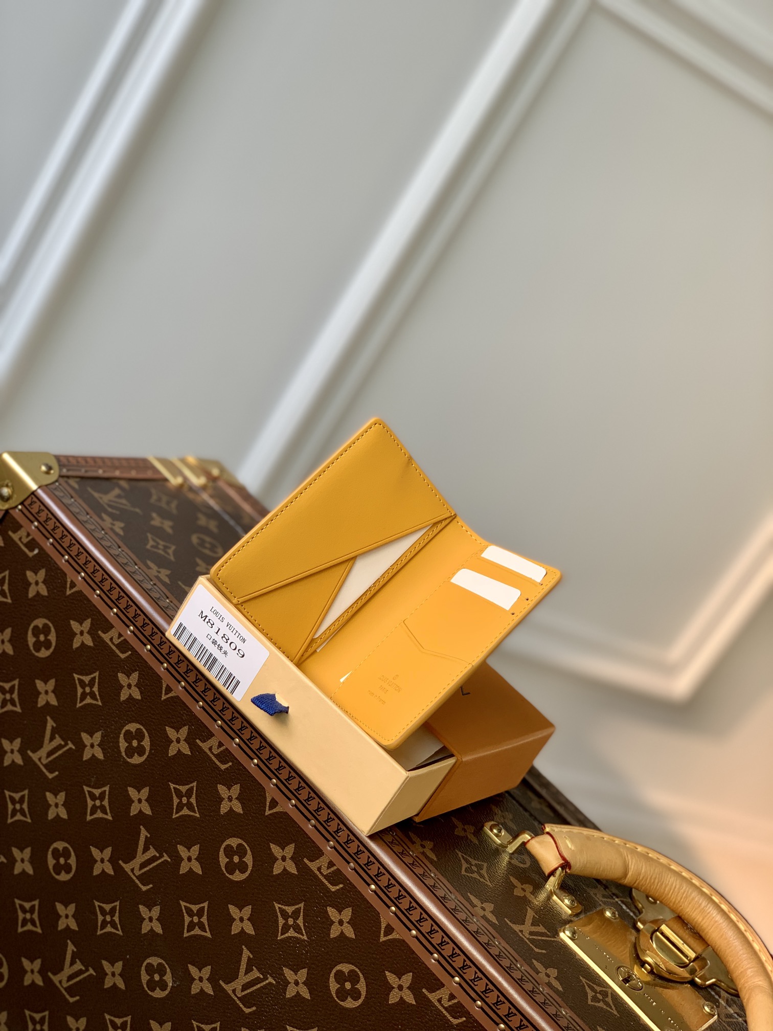 Louis Vuitton Aerogram Wallet-8 x 11 x 1CM
