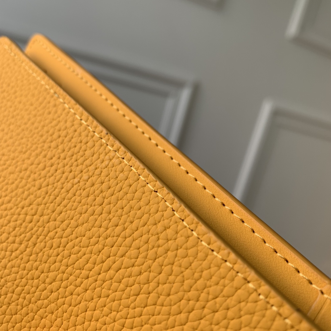 Louis Vuitton Brazza Wallet-10*19*2CM