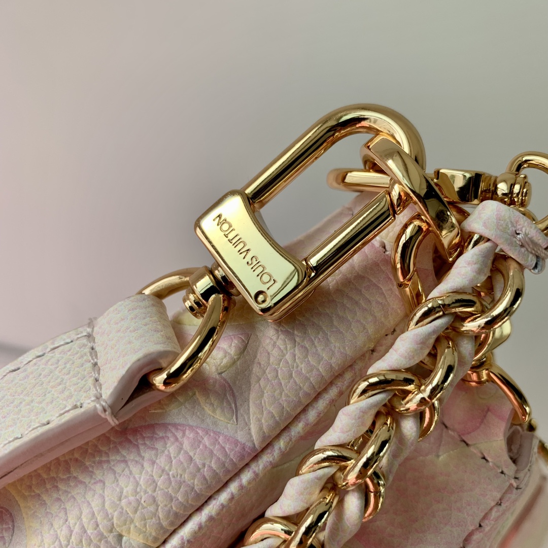 Louis Vuitton Multi Pochette Accessoires M46180-24*13.5* 4CM