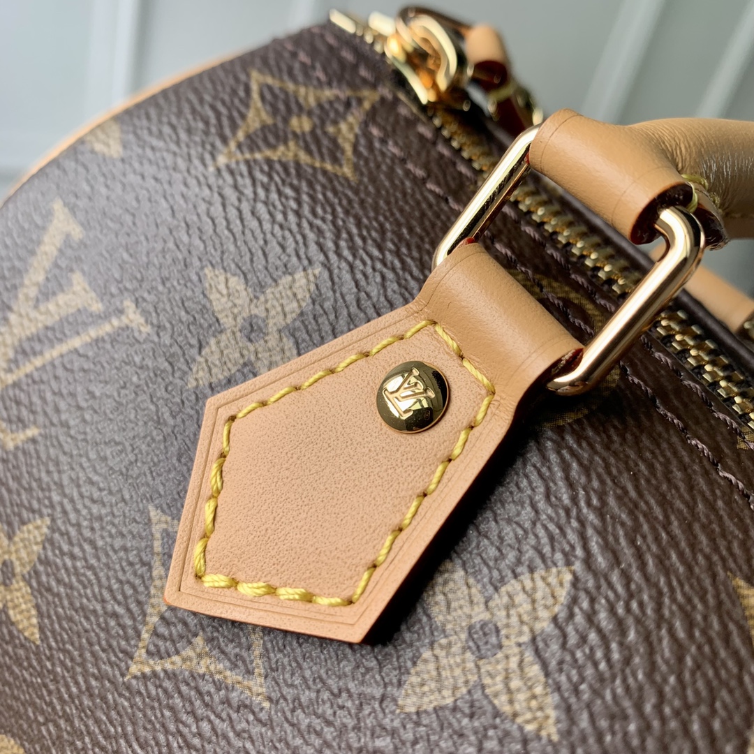 Louis Vuitton Speedy Bandoulière 20 -M81086-20*13.5*12CM