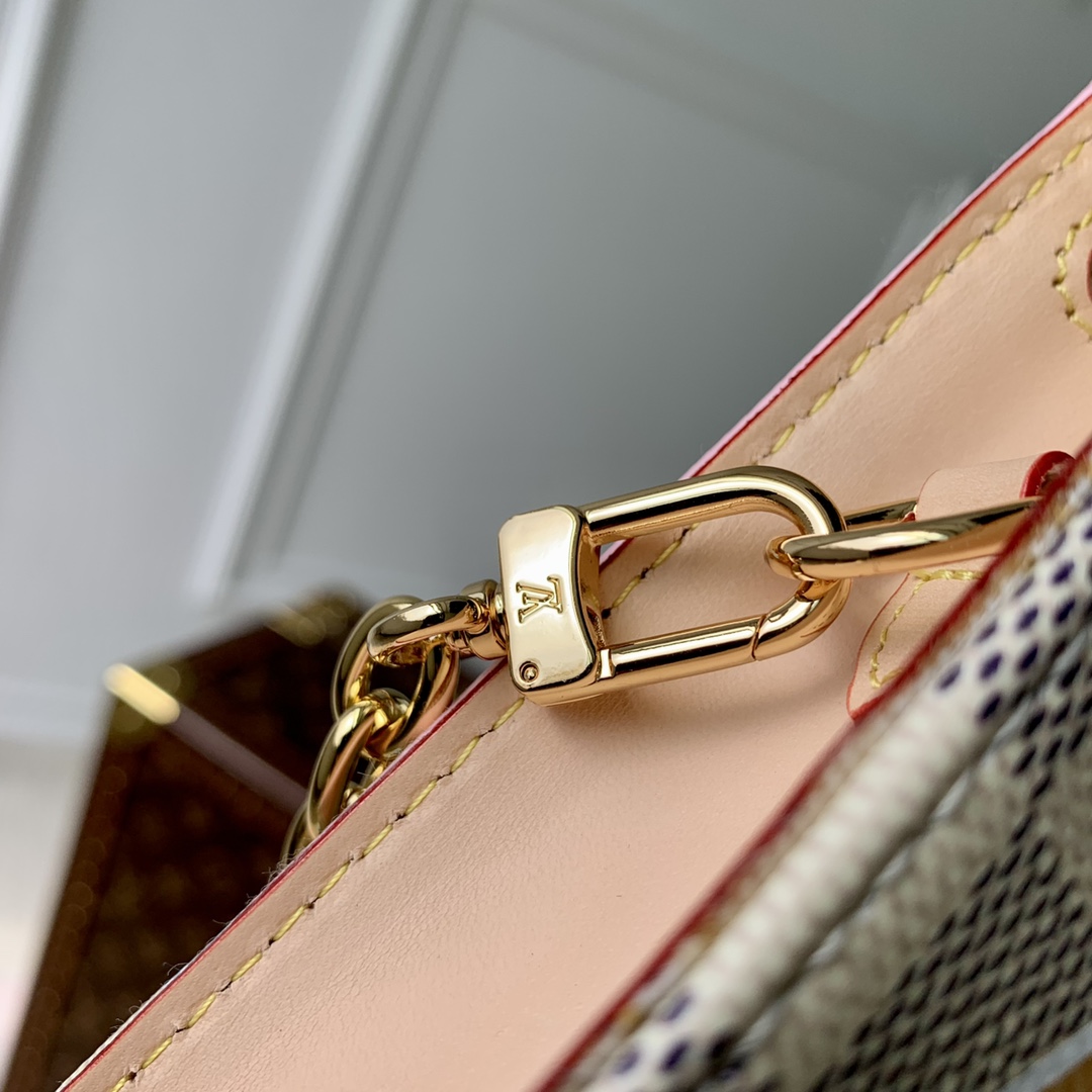 Louis Vuitton Toiletry Pouch On Chain-25 x 20 x 5.5CM