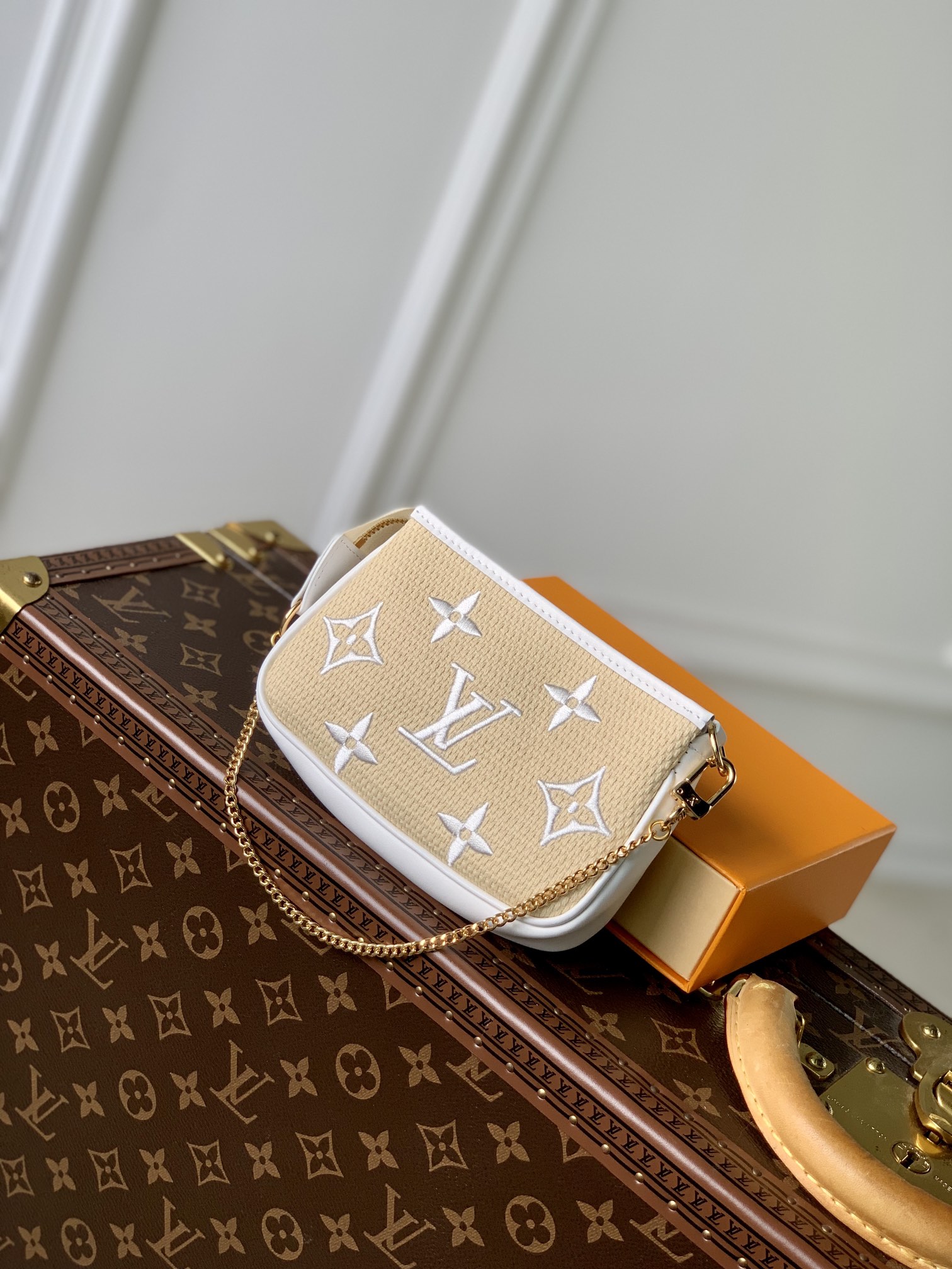 Louis Vuitton Mini Pochette Accessories-15.5 x 10.5 x 4CM