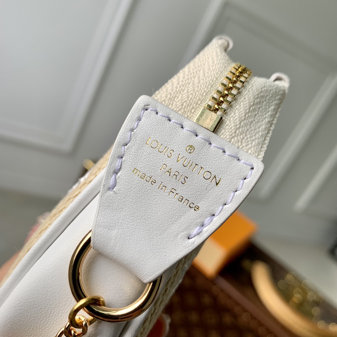 Louis Vuitton Mini Pochette Accessories-15.5 x 10.5 x 4CM