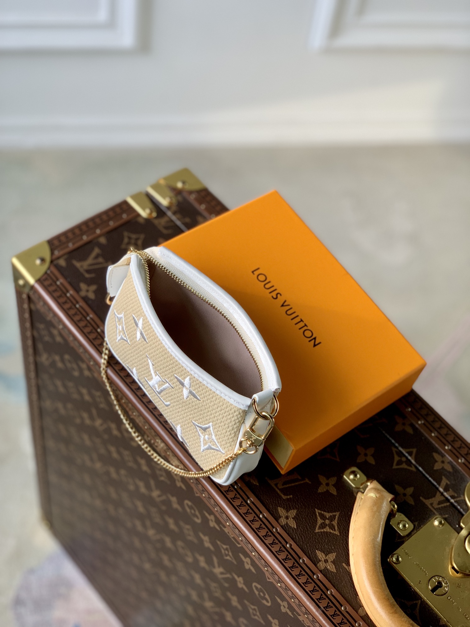 Louis Vuitton Mini Pochette Accessories-15.5 x 10.5 x 4CM