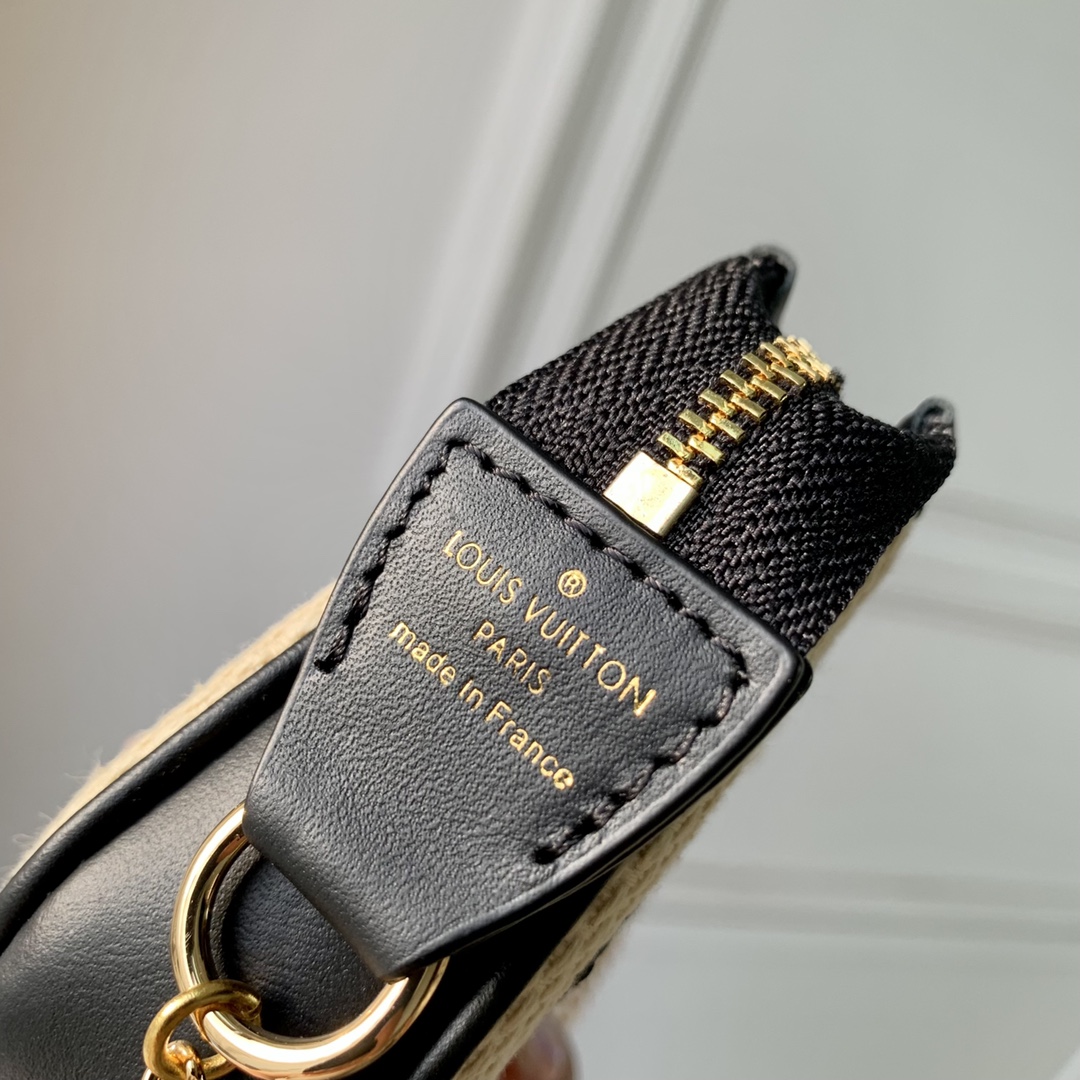 Louis Vuitton Mini Pochette Accessories-15.5 x 10.5 x 4CM