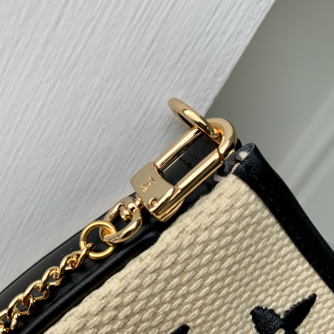 Louis Vuitton Mini Pochette Accessories-15.5 x 10.5 x 4CM