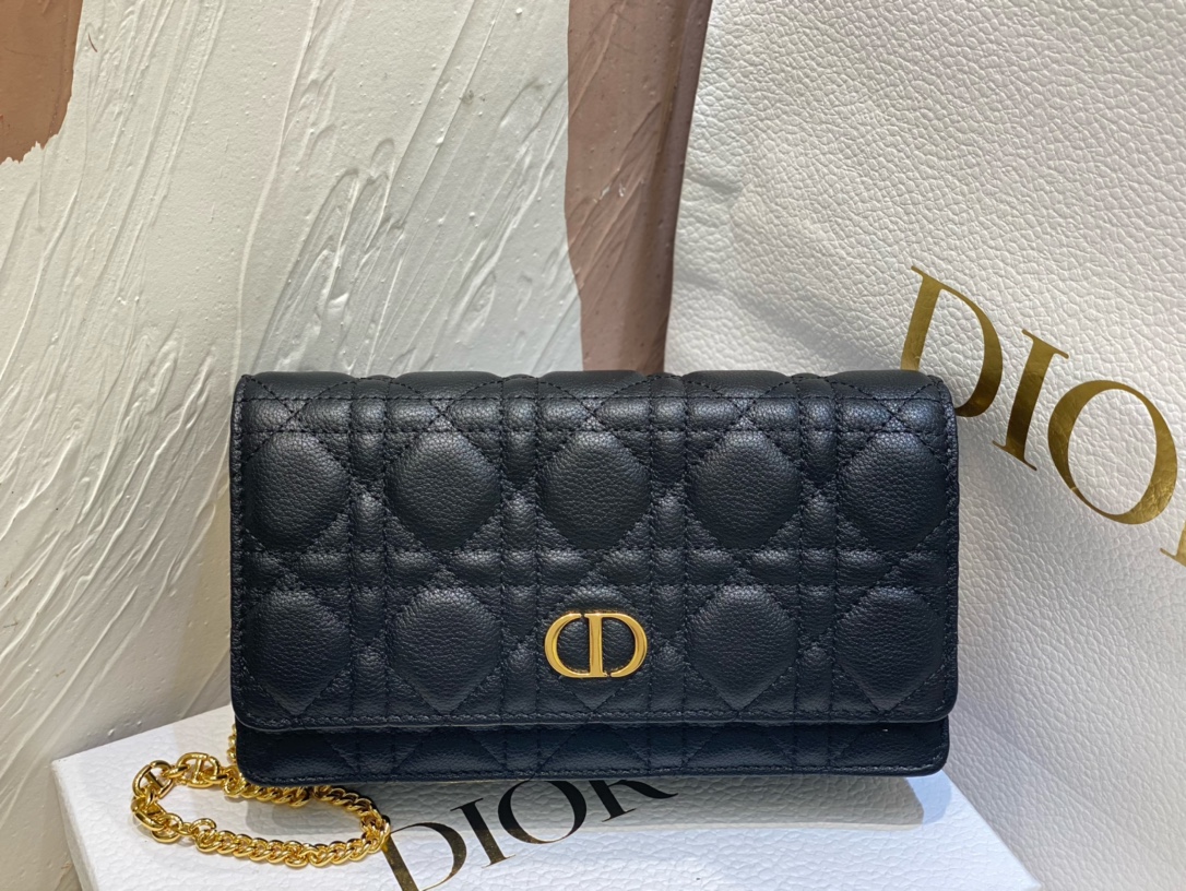 Diro 2022 Caro Bag-20 x 11.5 x 3.5CM