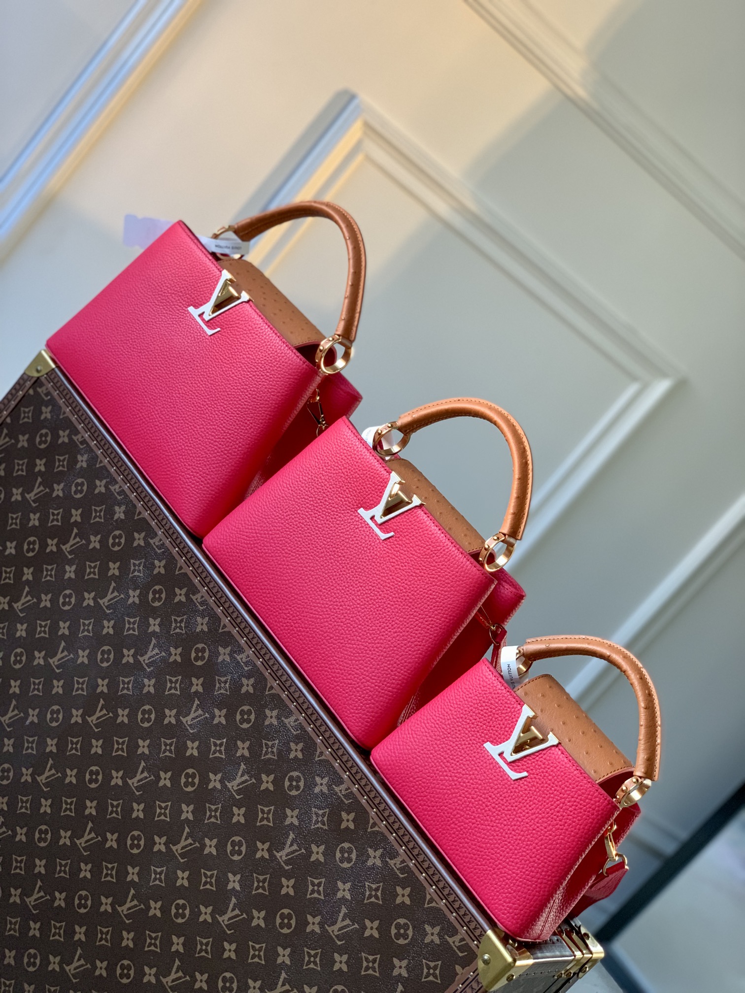 Louis Vuitton Capucines Handlebag