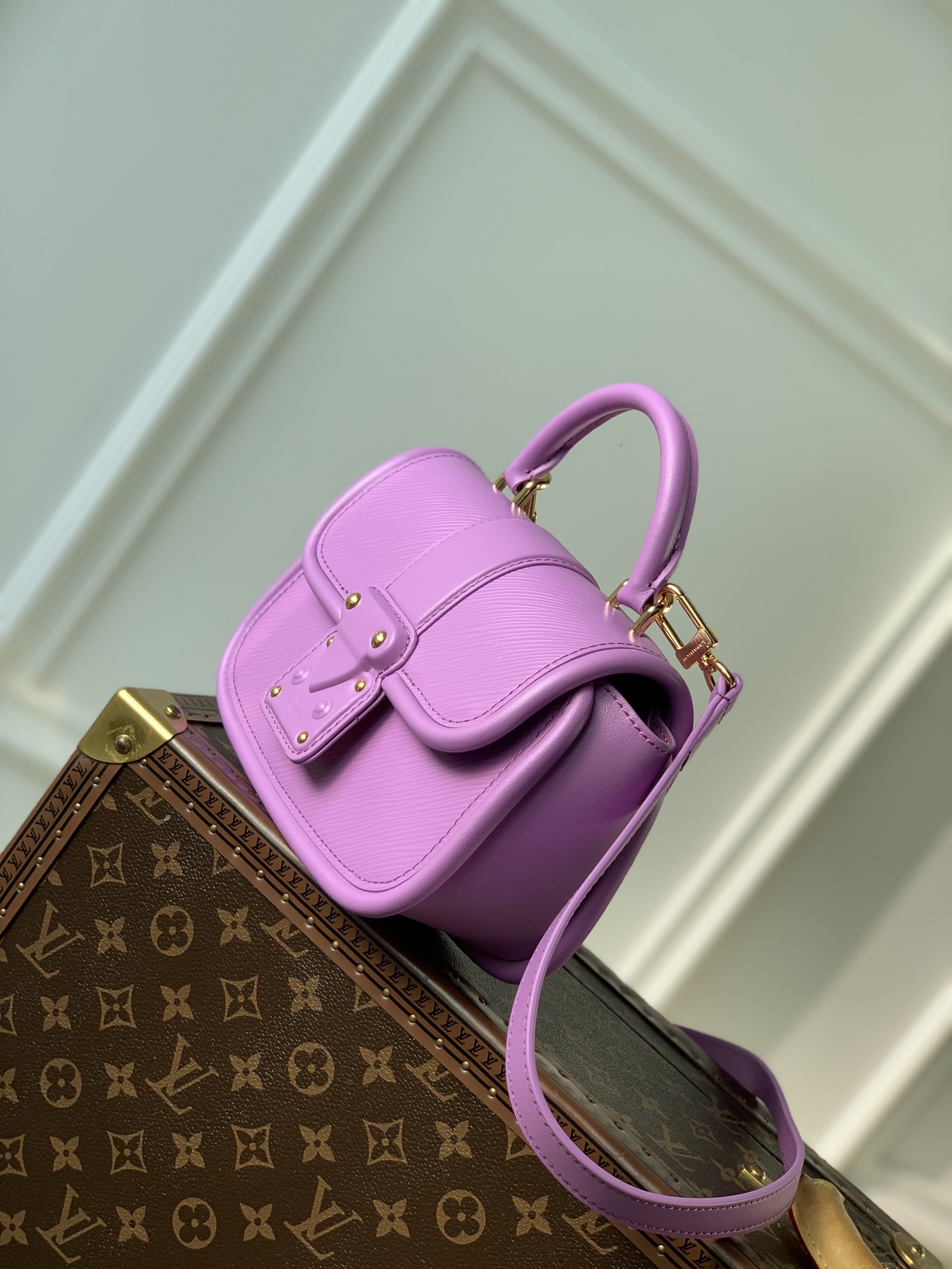 Louis Vuitton Hide & Seek Bag-21 x 15 x 8CM