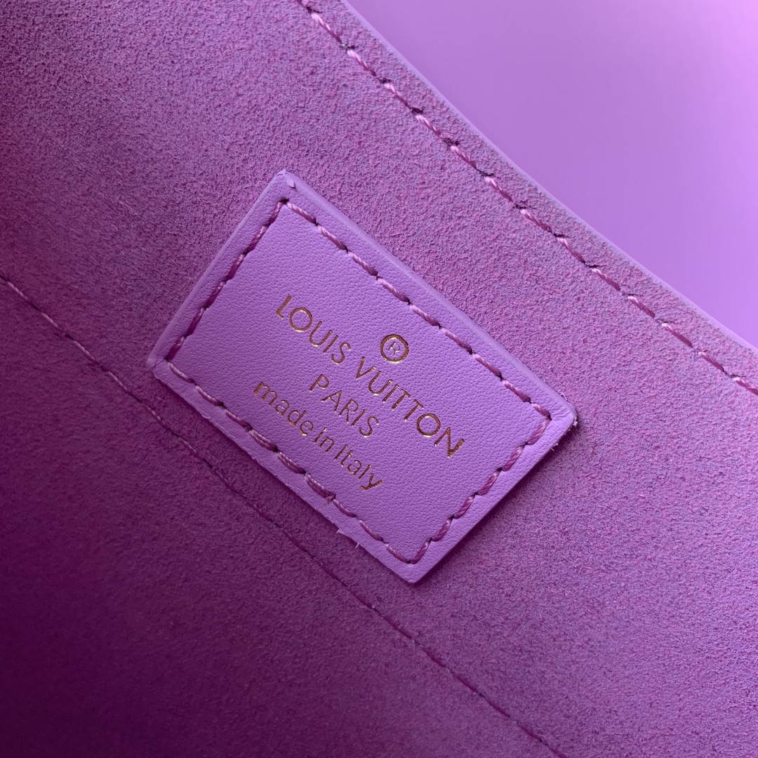 Louis Vuitton Hide & Seek Bag-21 x 15 x 8CM