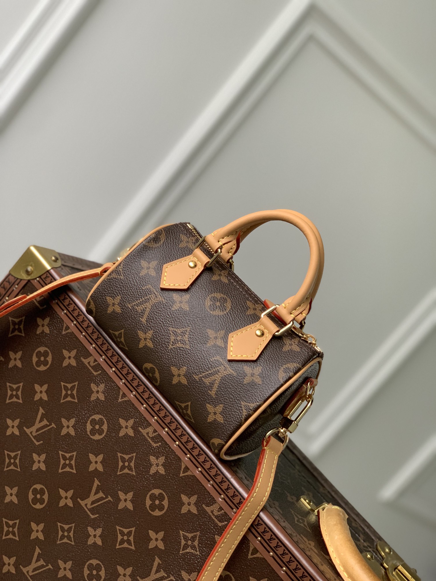 Louis Vuitton Nano Speedy-16CM