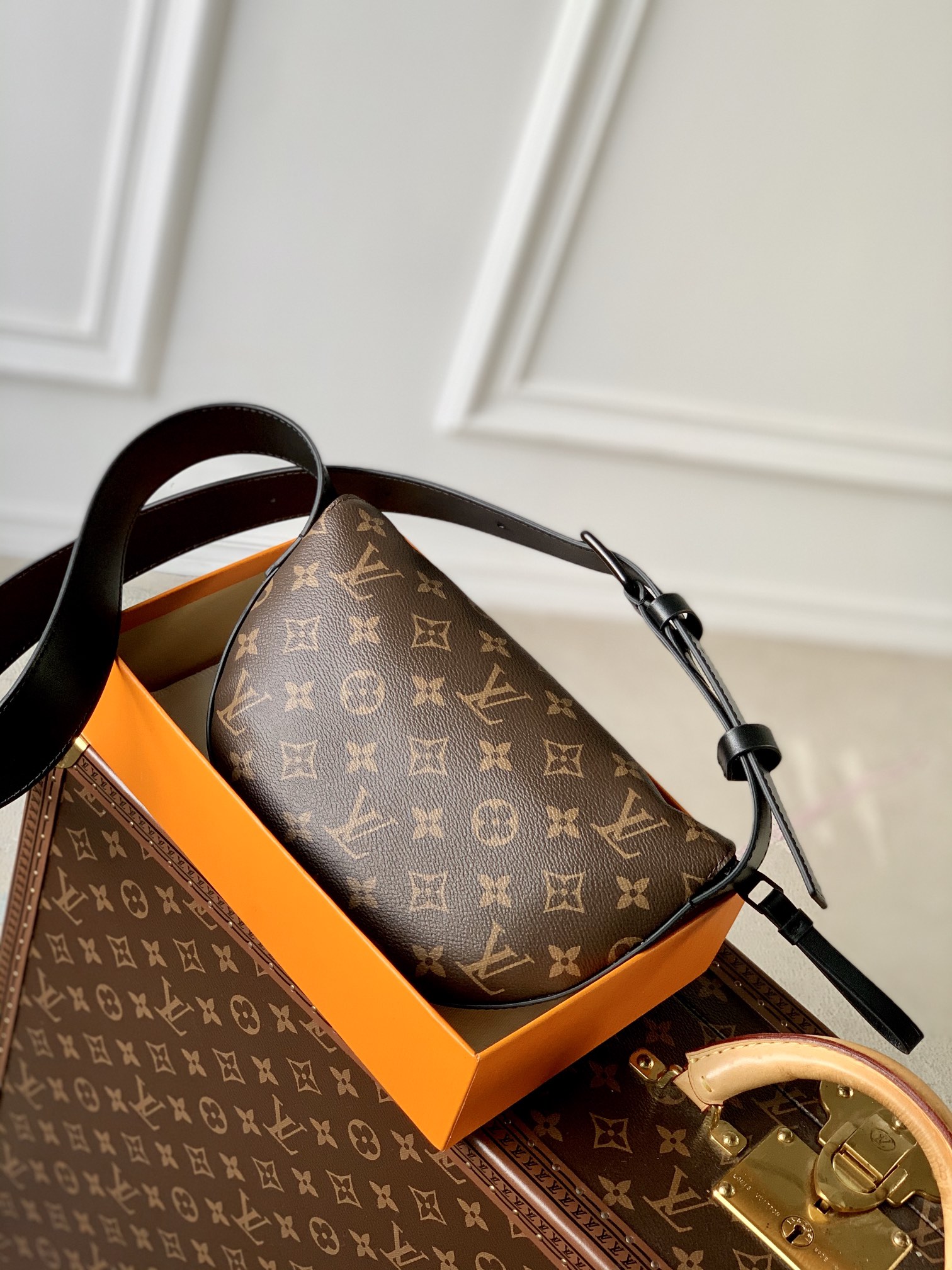 Louis Vuitton Moon Crossbody Bag-24.5 x 16 x 4.55CM Louis Vuitton Moon Crossbody Bag-24.5 x 16 x 4.55CM