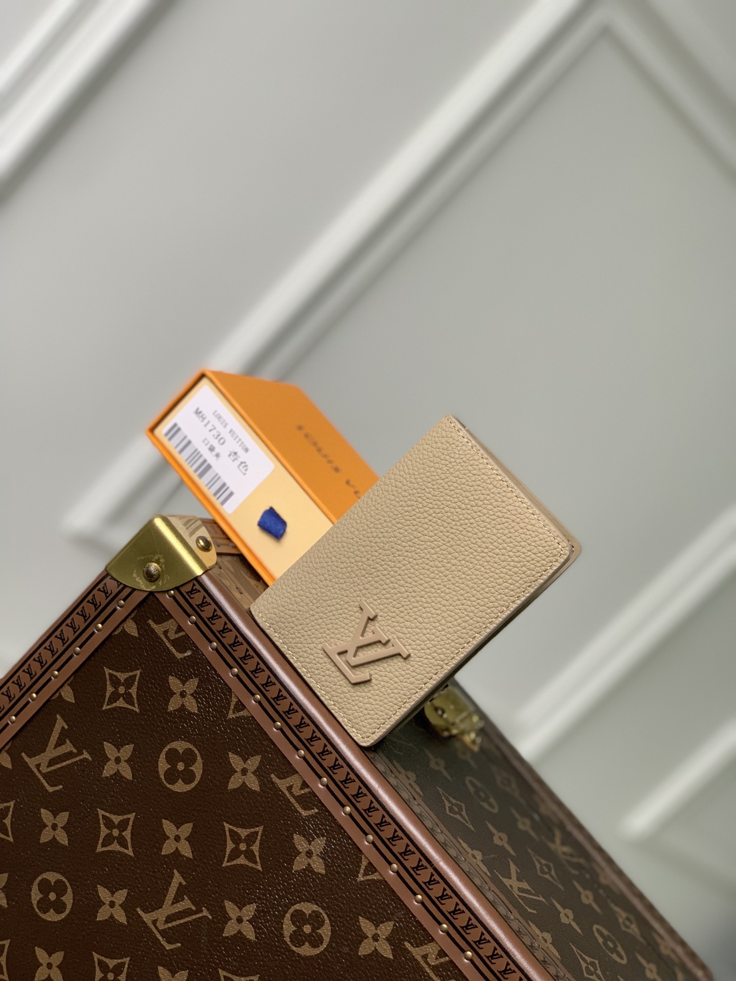 Louis Vuitton Aerogram Wallet-8 x 11 x 1CM