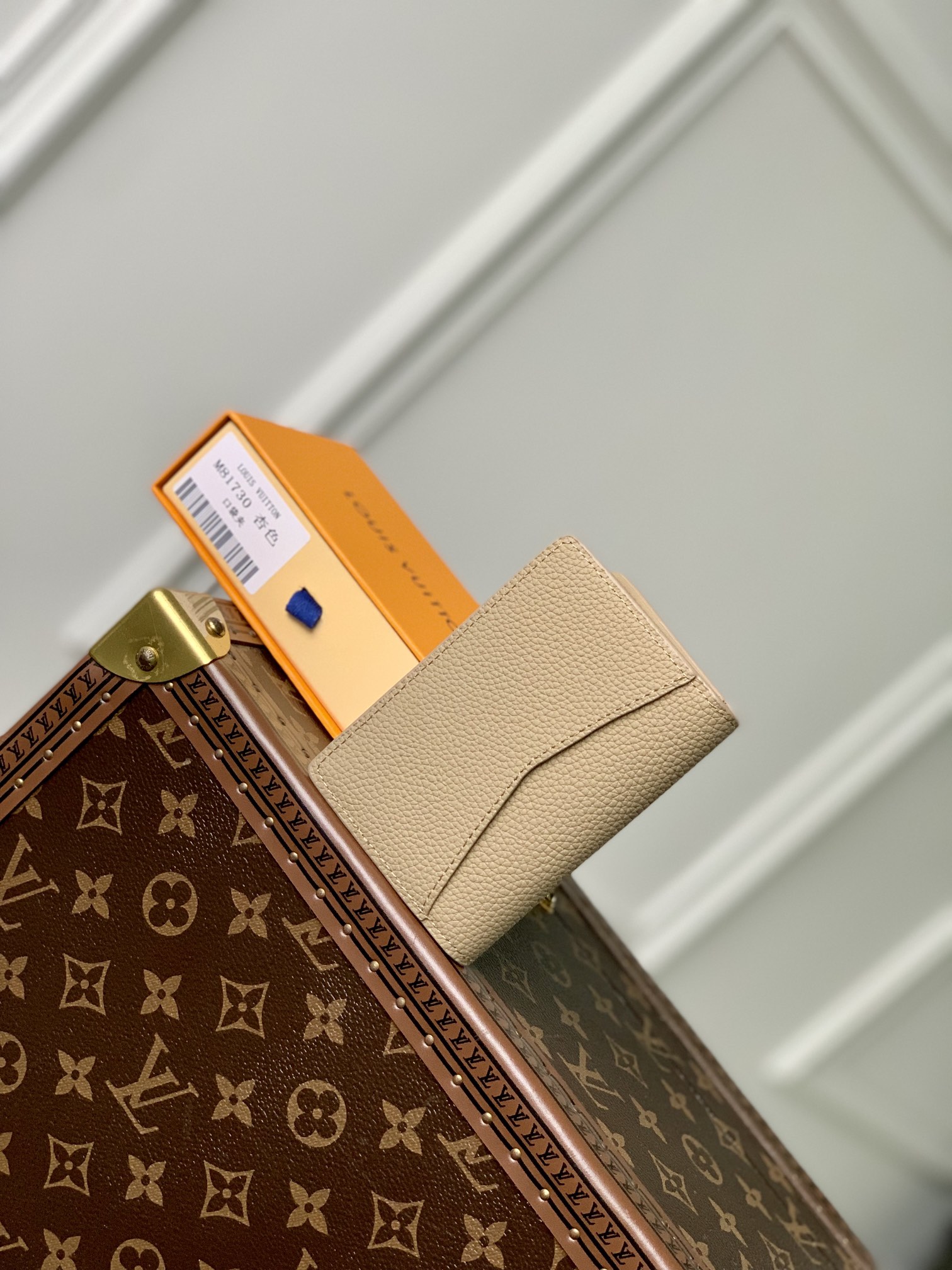 Louis Vuitton Aerogram Wallet-8 x 11 x 1CM