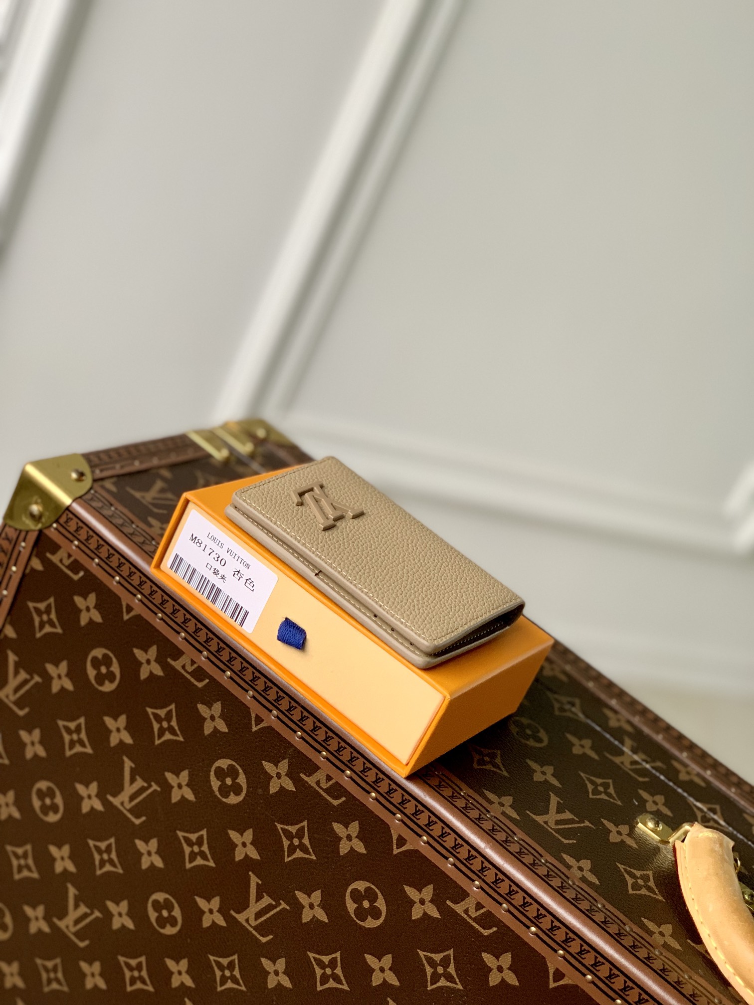 Louis Vuitton Aerogram Wallet-8 x 11 x 1CM