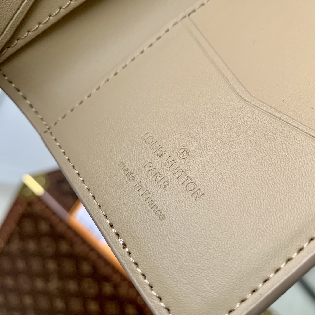 Louis Vuitton Aerogram Wallet-8 x 11 x 1CM