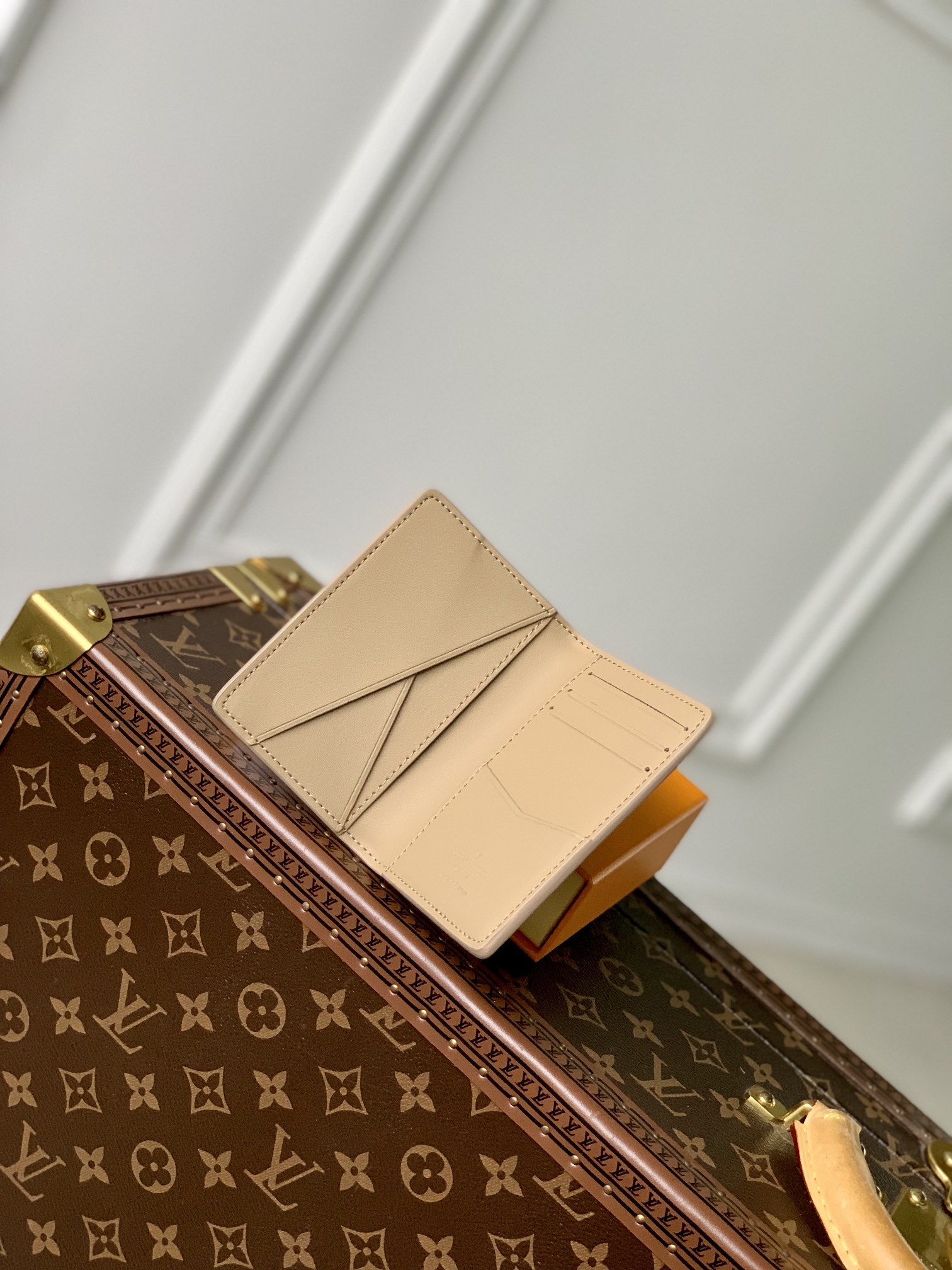 Louis Vuitton Aerogram Wallet-8 x 11 x 1CM