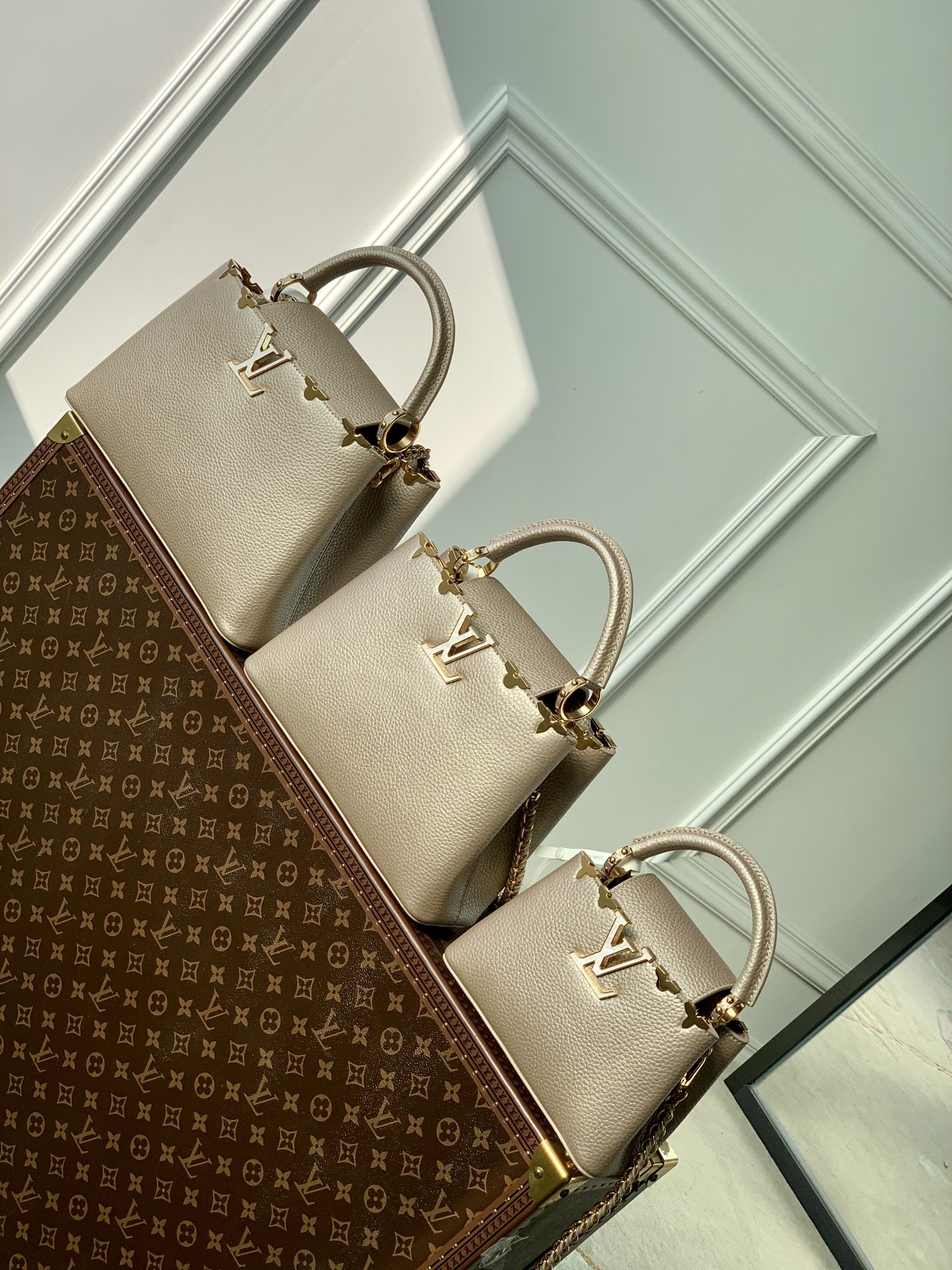 Louis Vuitton Capucines Handlebag